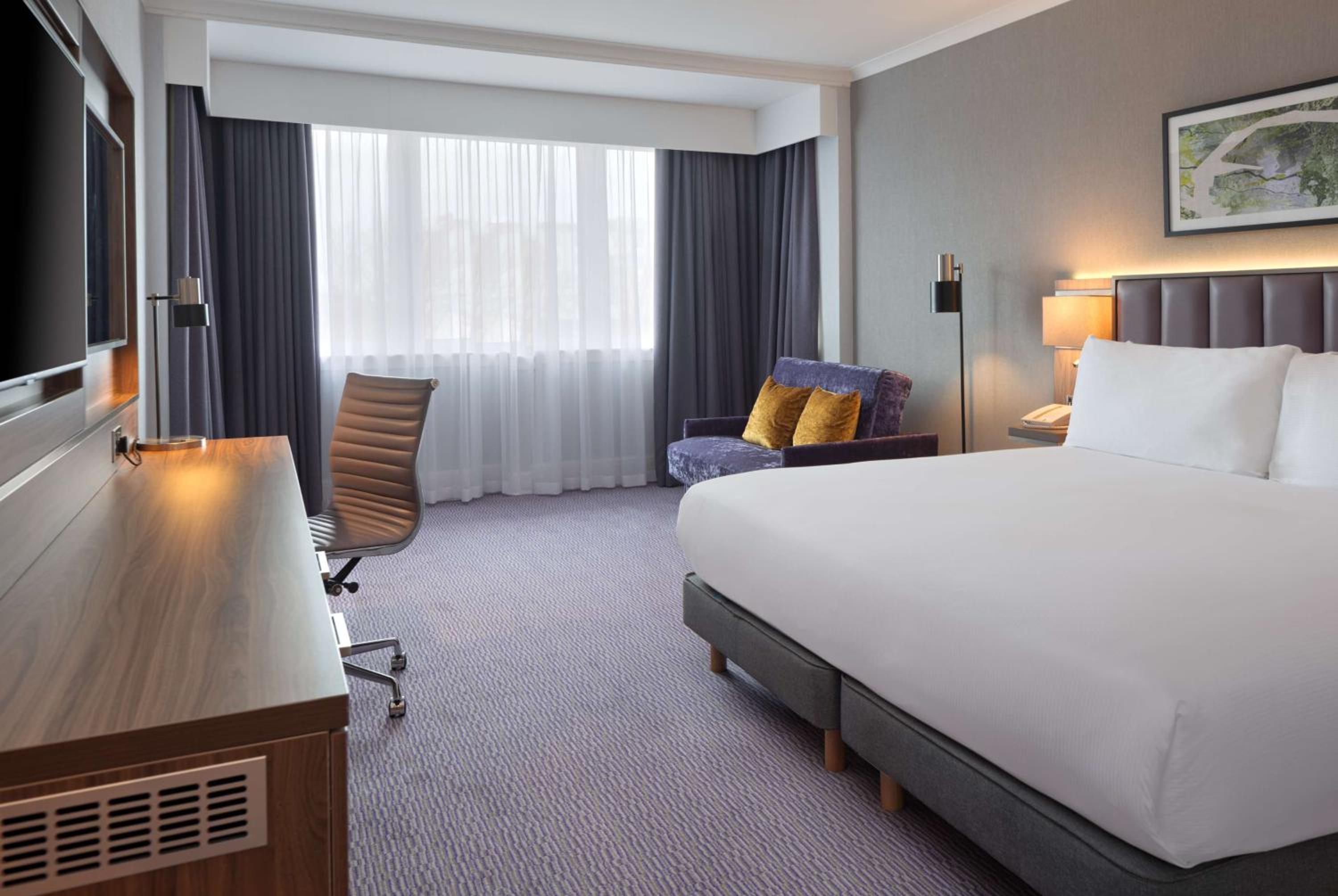King Guest Room