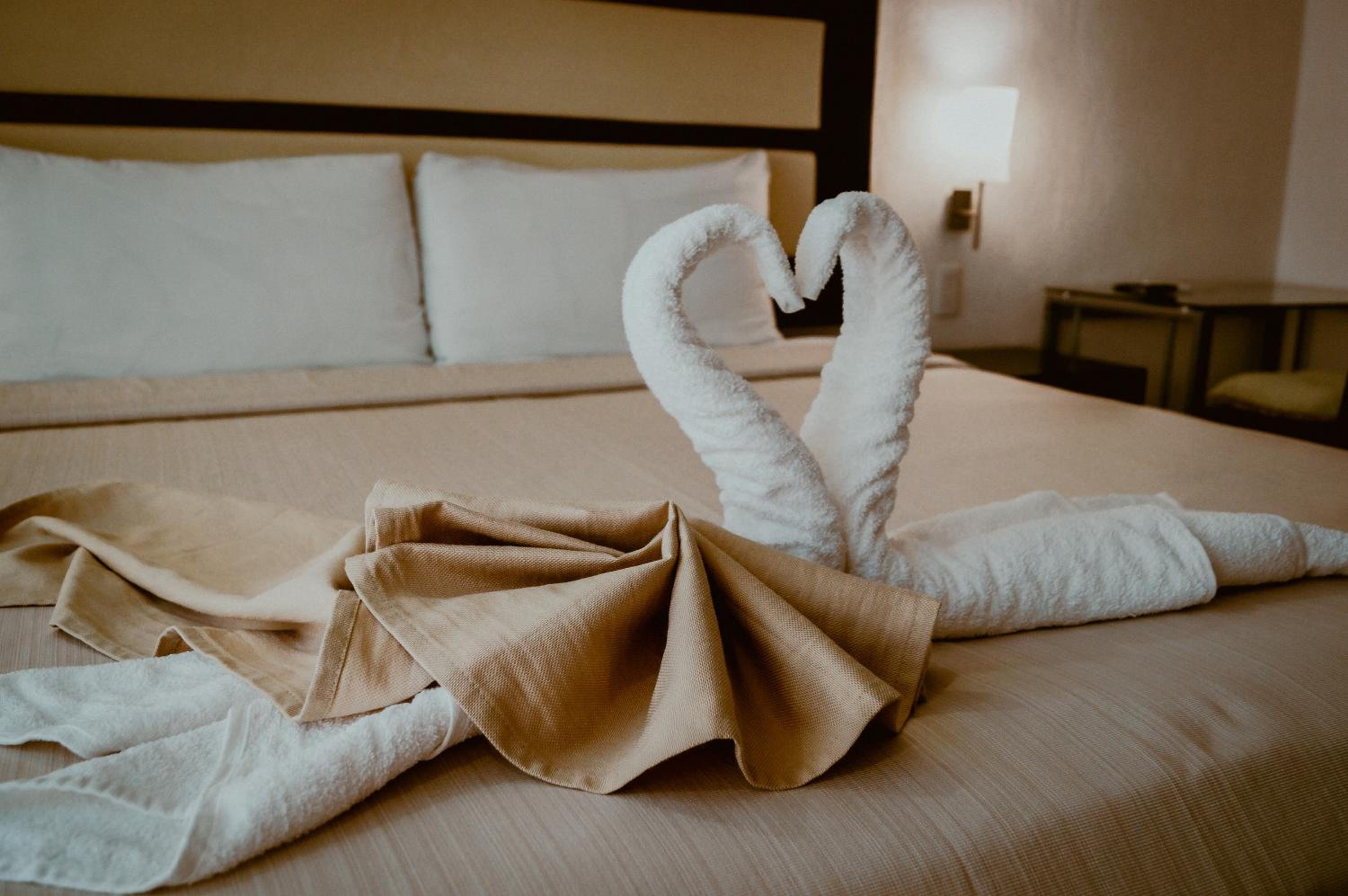 Executive Junior Suite