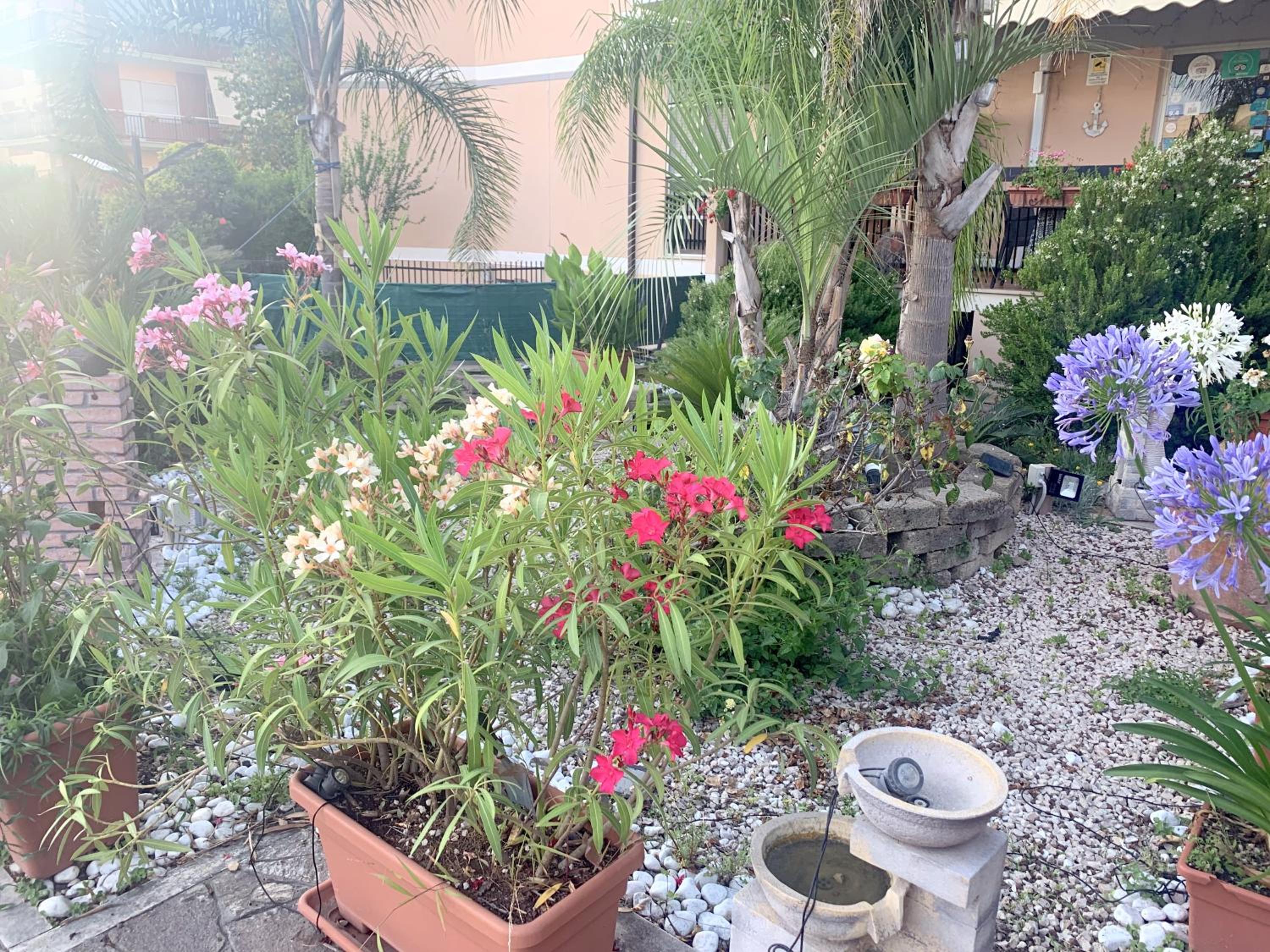 Superior Double Room with Garden View photo 2