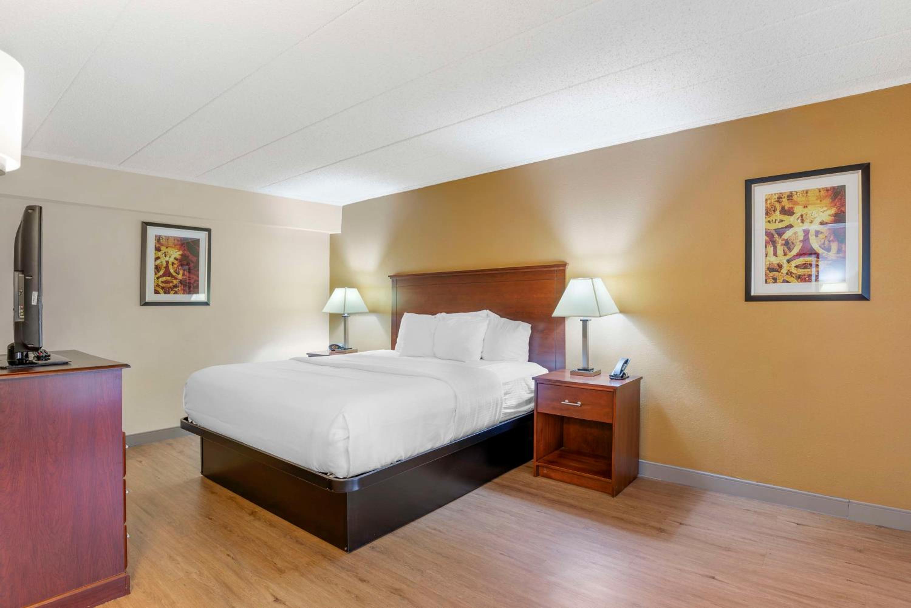 King Room - Photo 5