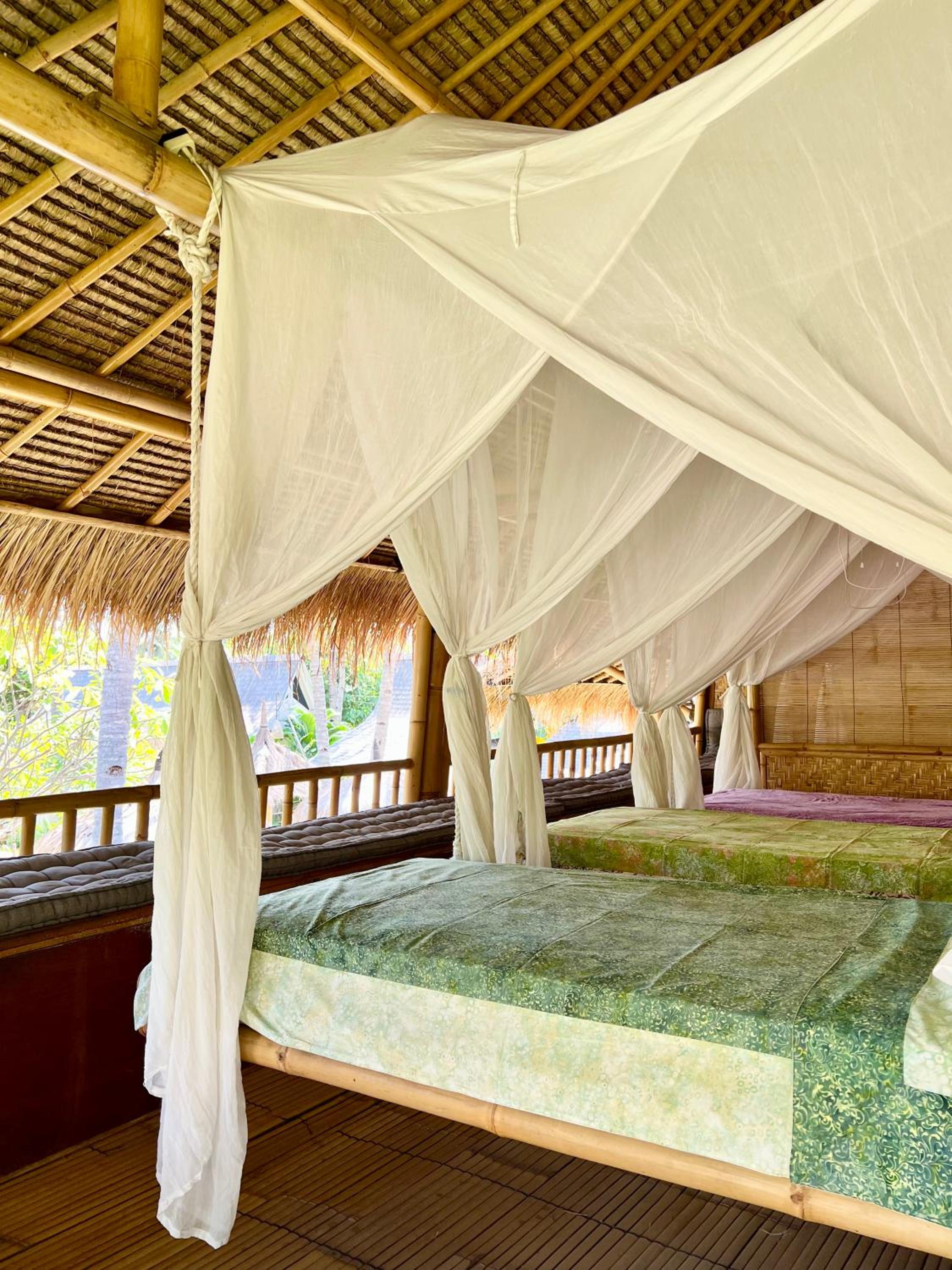 Single Bed in Mixed Dormitory Room photo 1