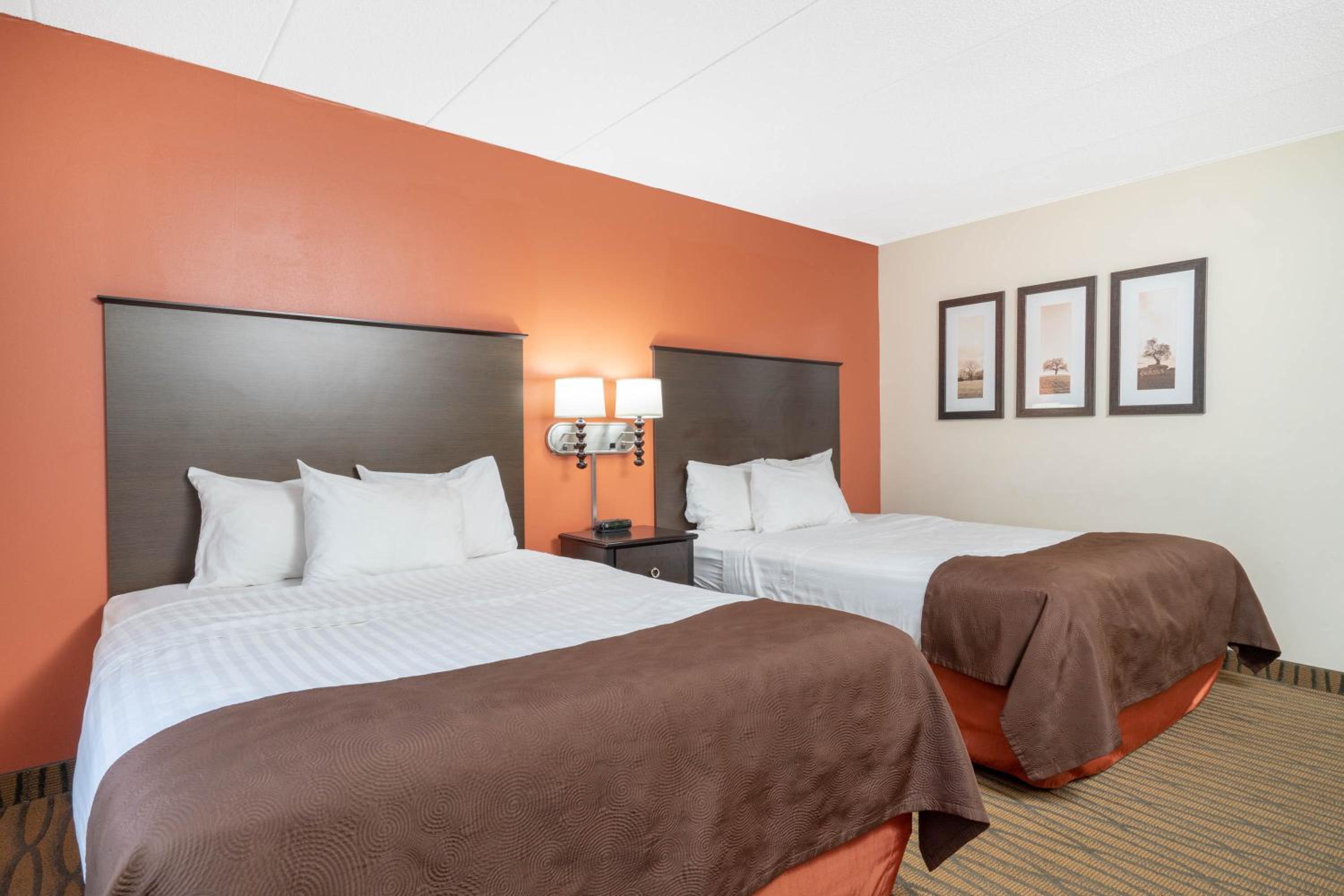 Deluxe Queen Room photo 1