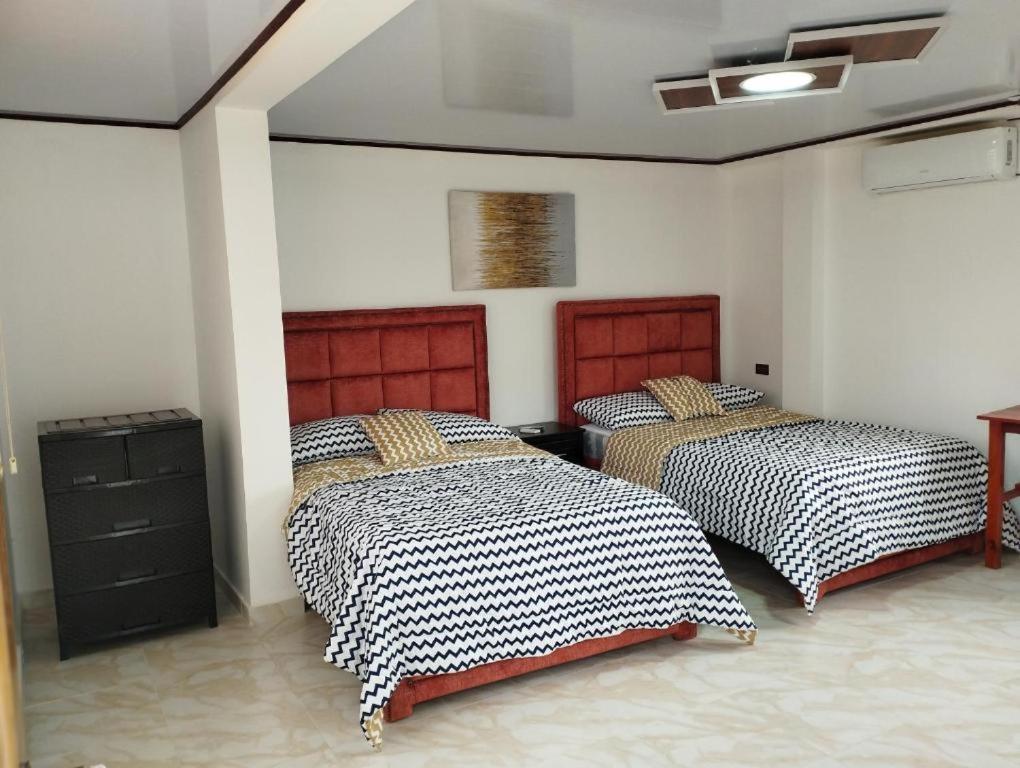 Twin Room photo 1