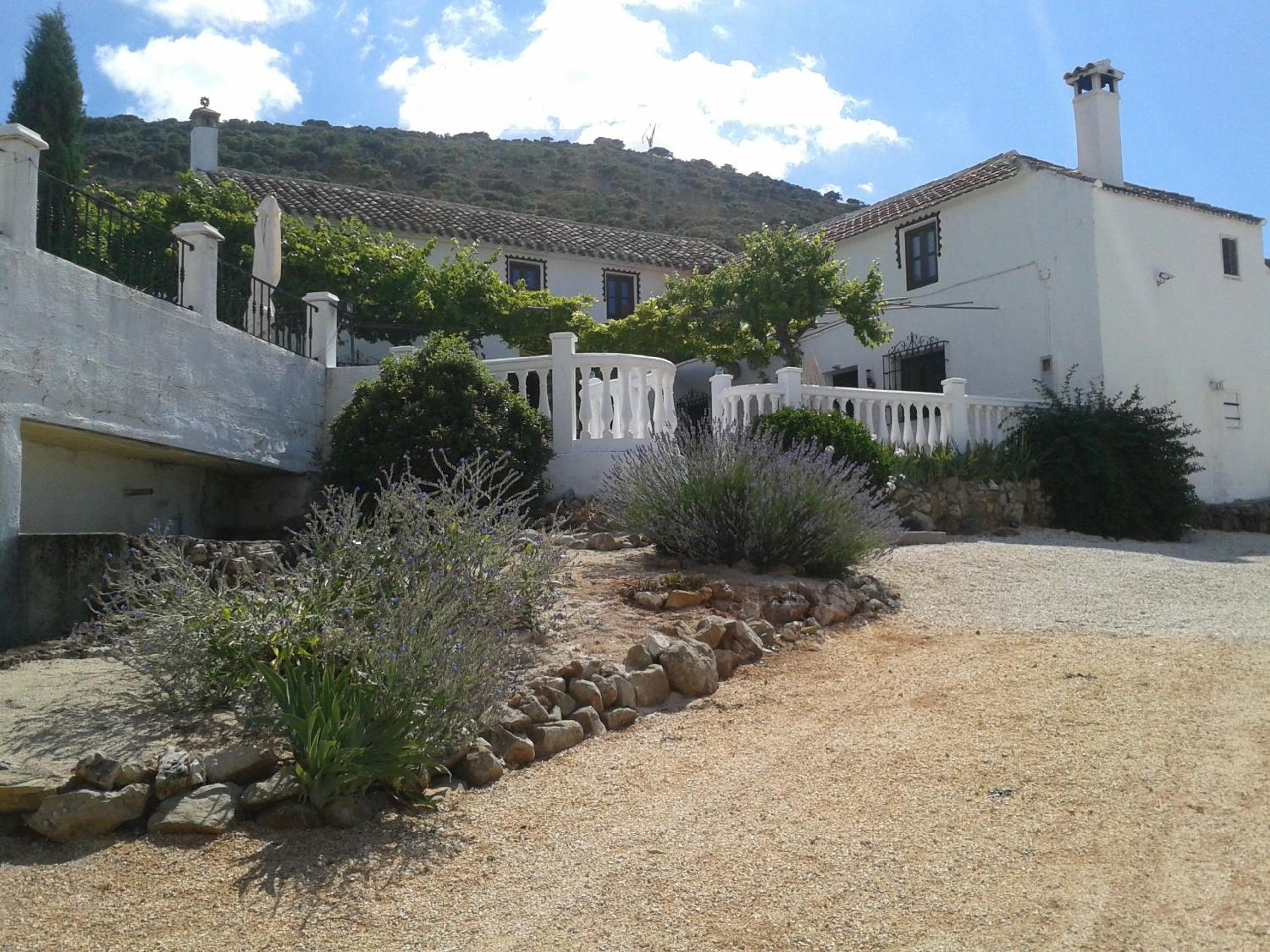 Six-Bedroom House photo 2