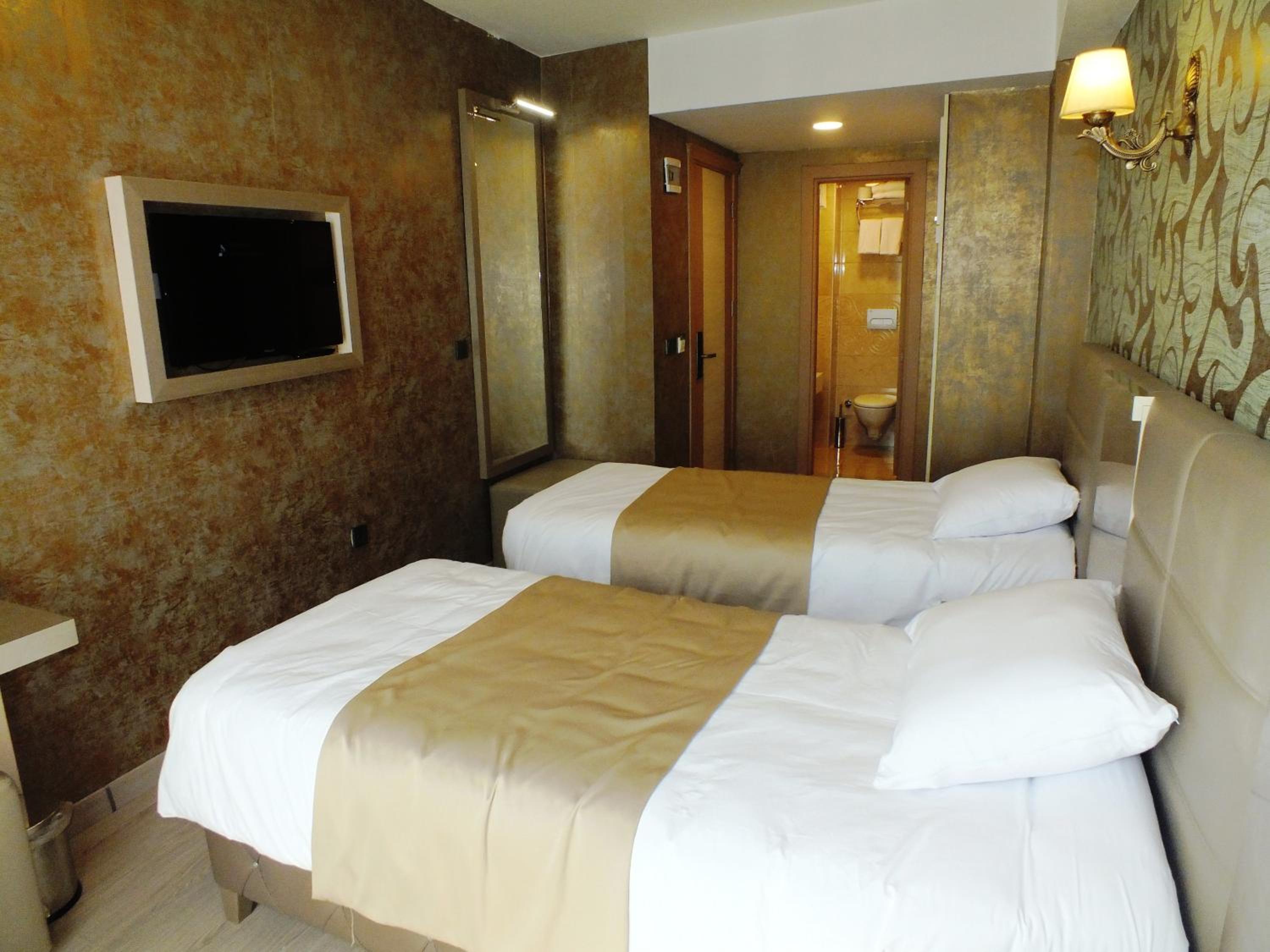 Deluxe Double or Twin Room photo 2