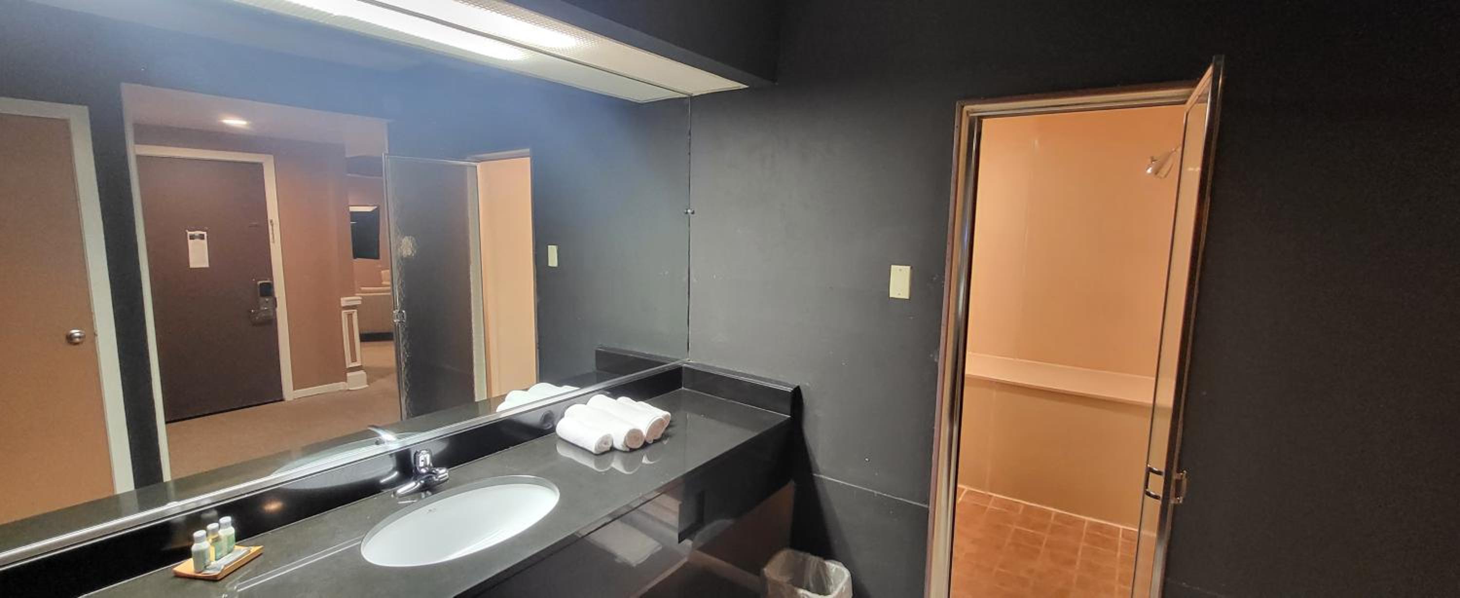 Deluxe King Suite - Photo 7