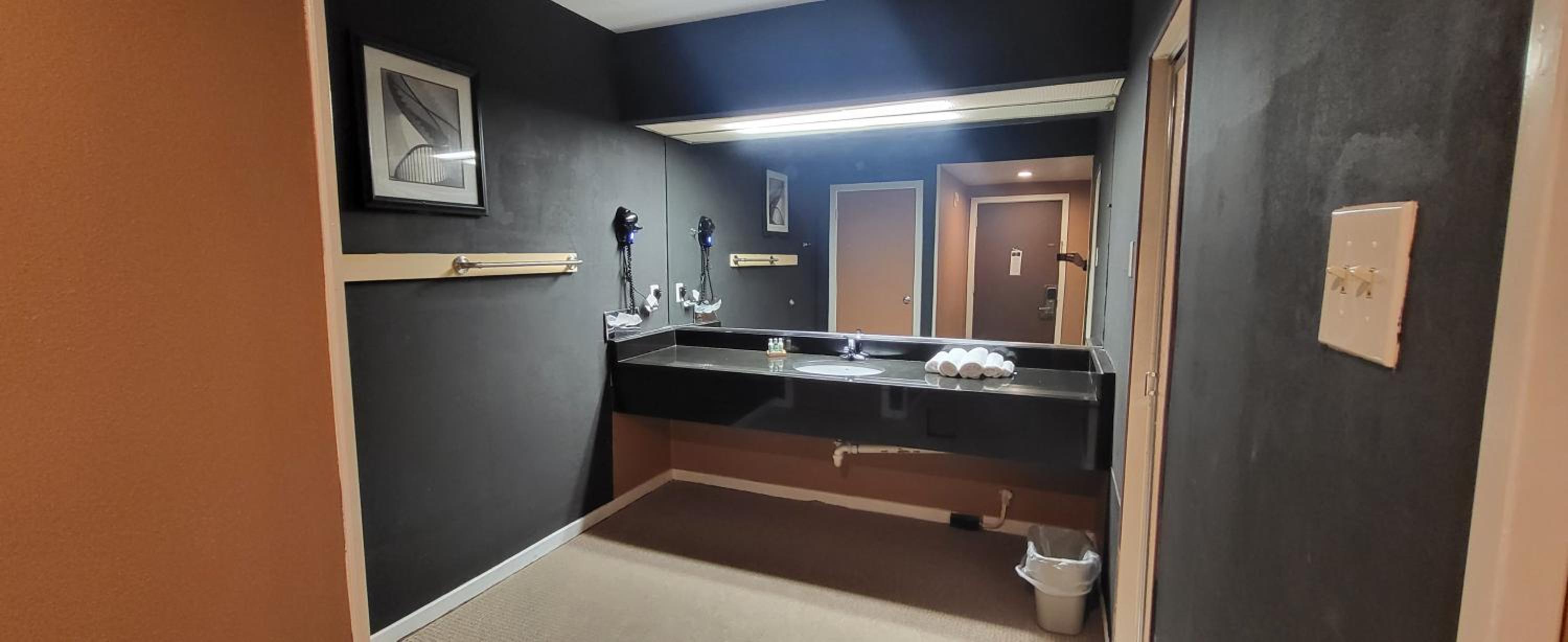 Deluxe King Suite - Photo 10