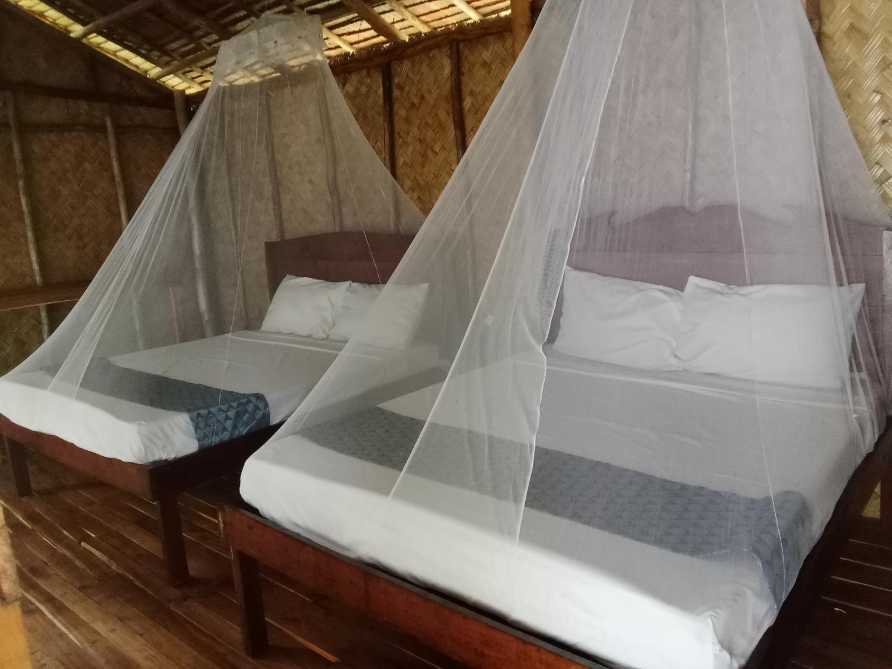 Family Bungalow - Photo 1