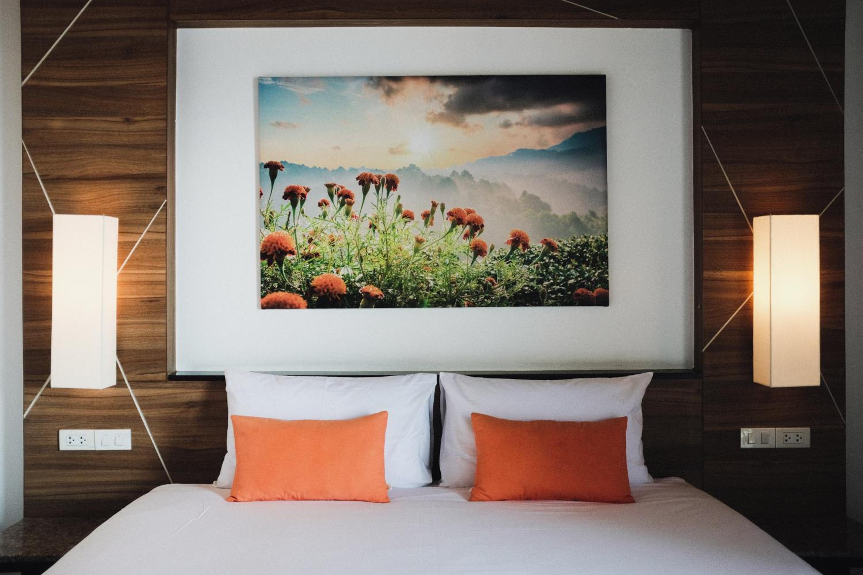 Superior Double or Twin Room photo 1