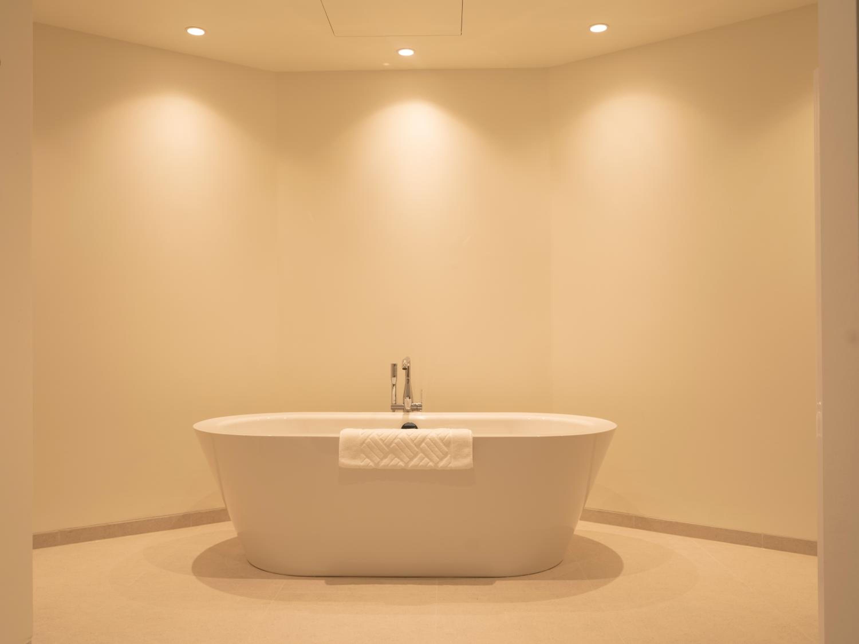 Deluxe King Suite - Photo 6