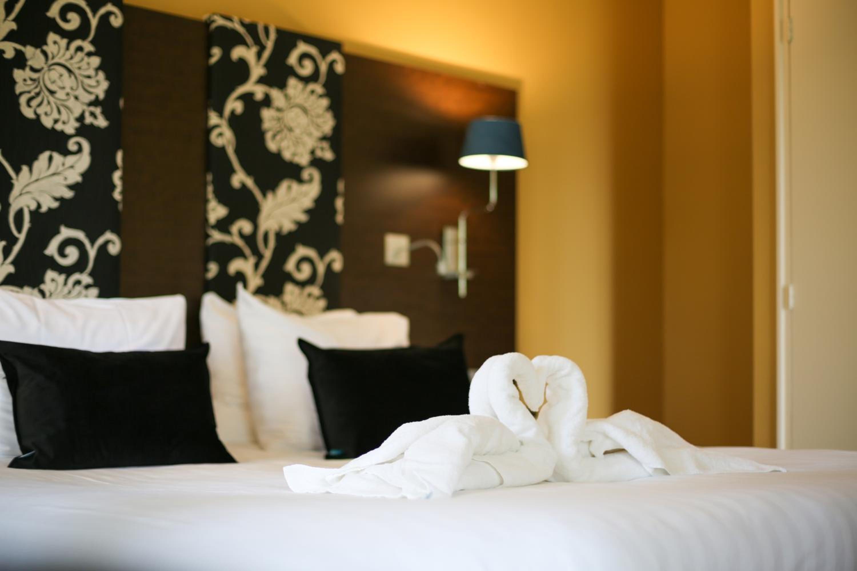 Suite - Photo 6
