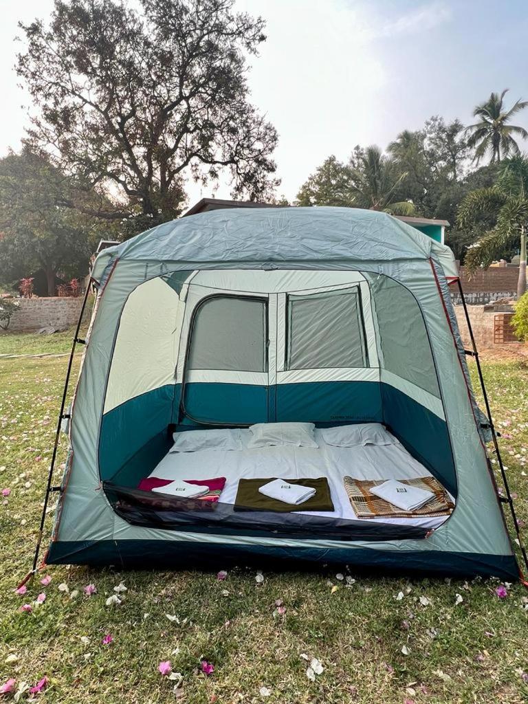 Tent photo 3