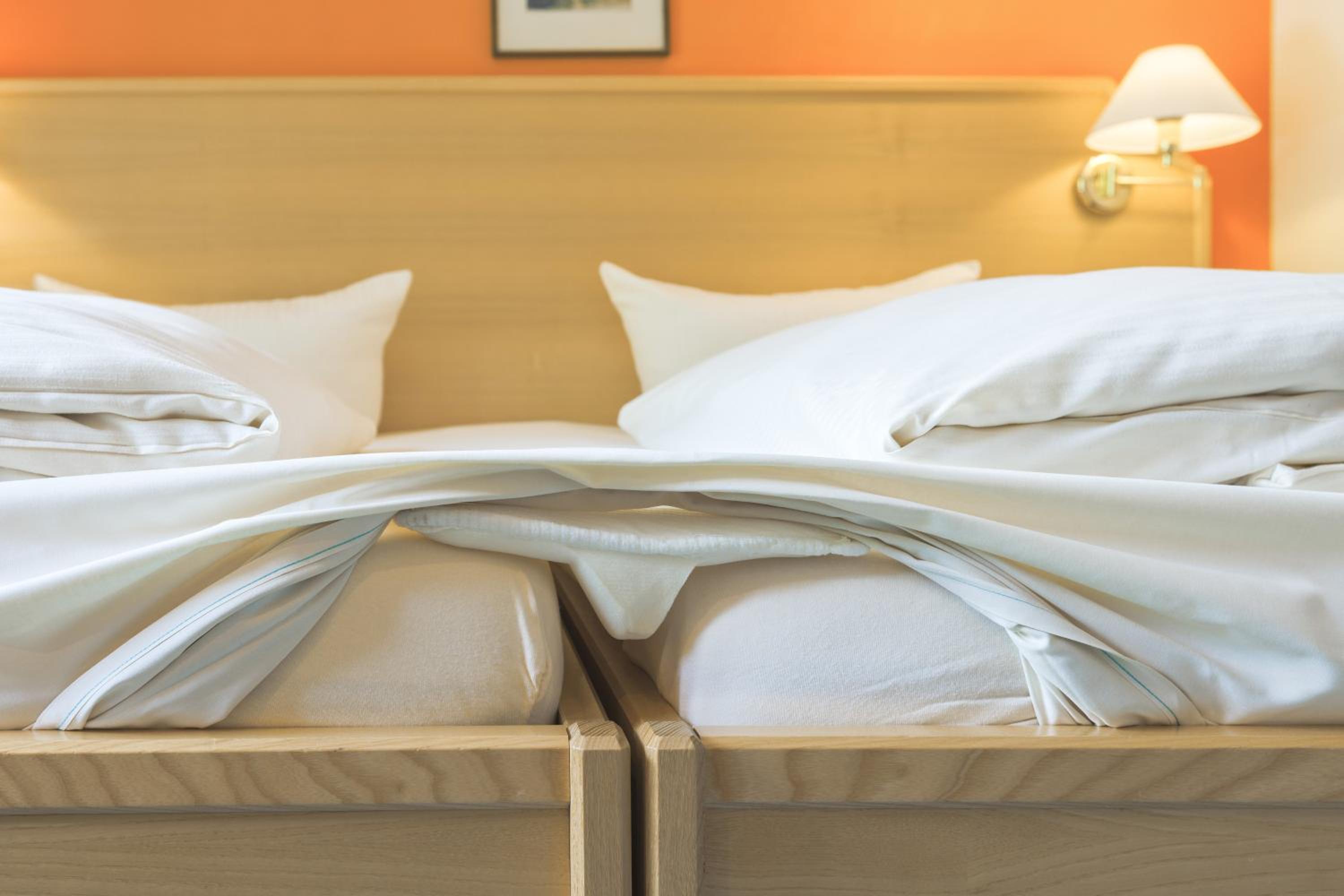 Double or Twin Room with Mountain View and shared Balcony photo 3