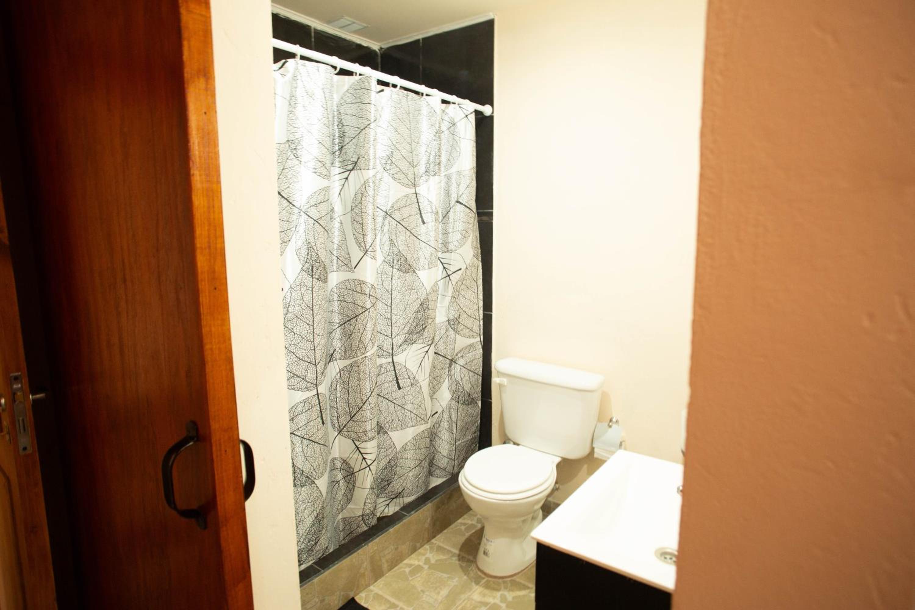 Large Double or Twin Room photo 3
