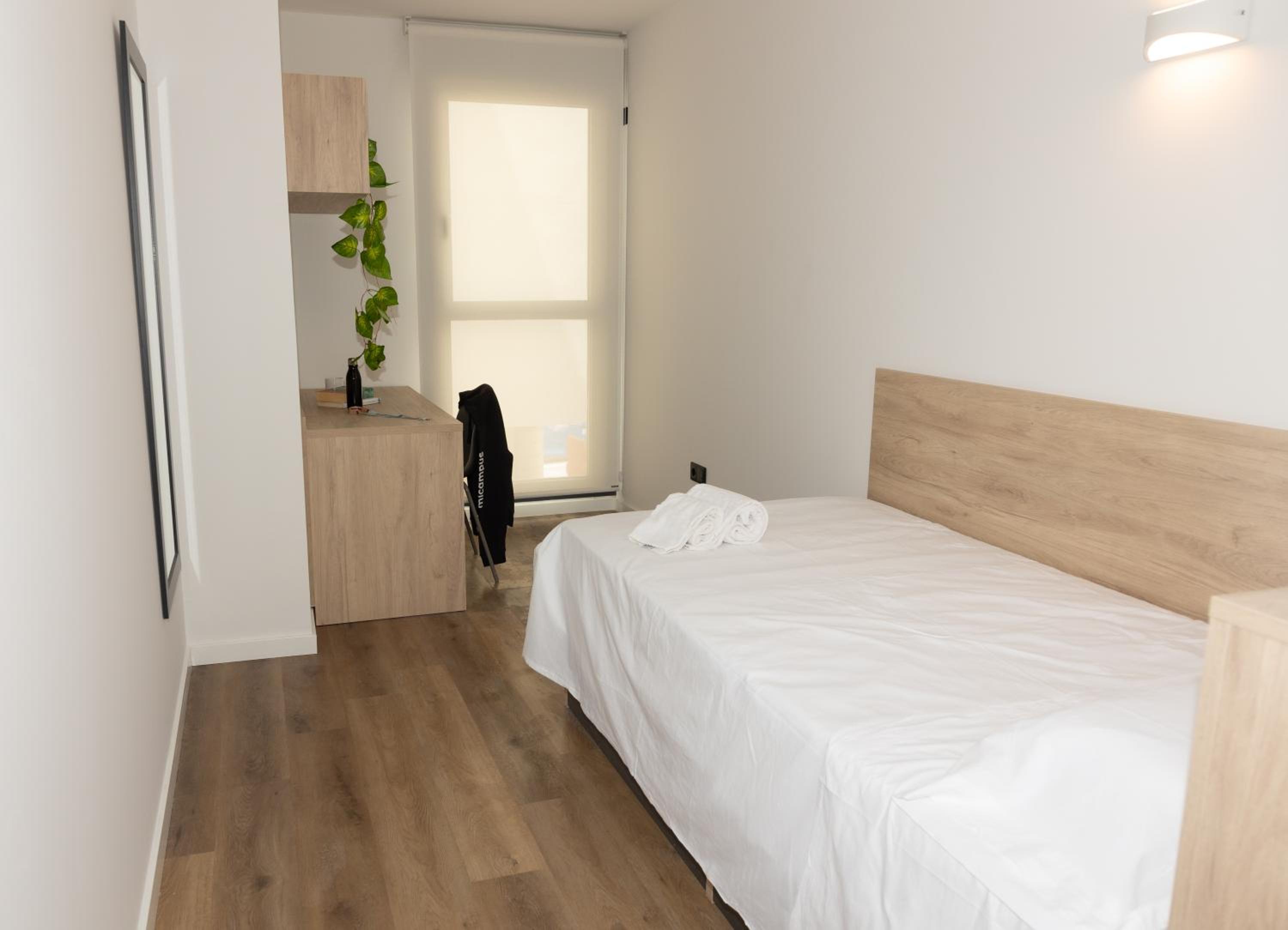 Single Room photo 3