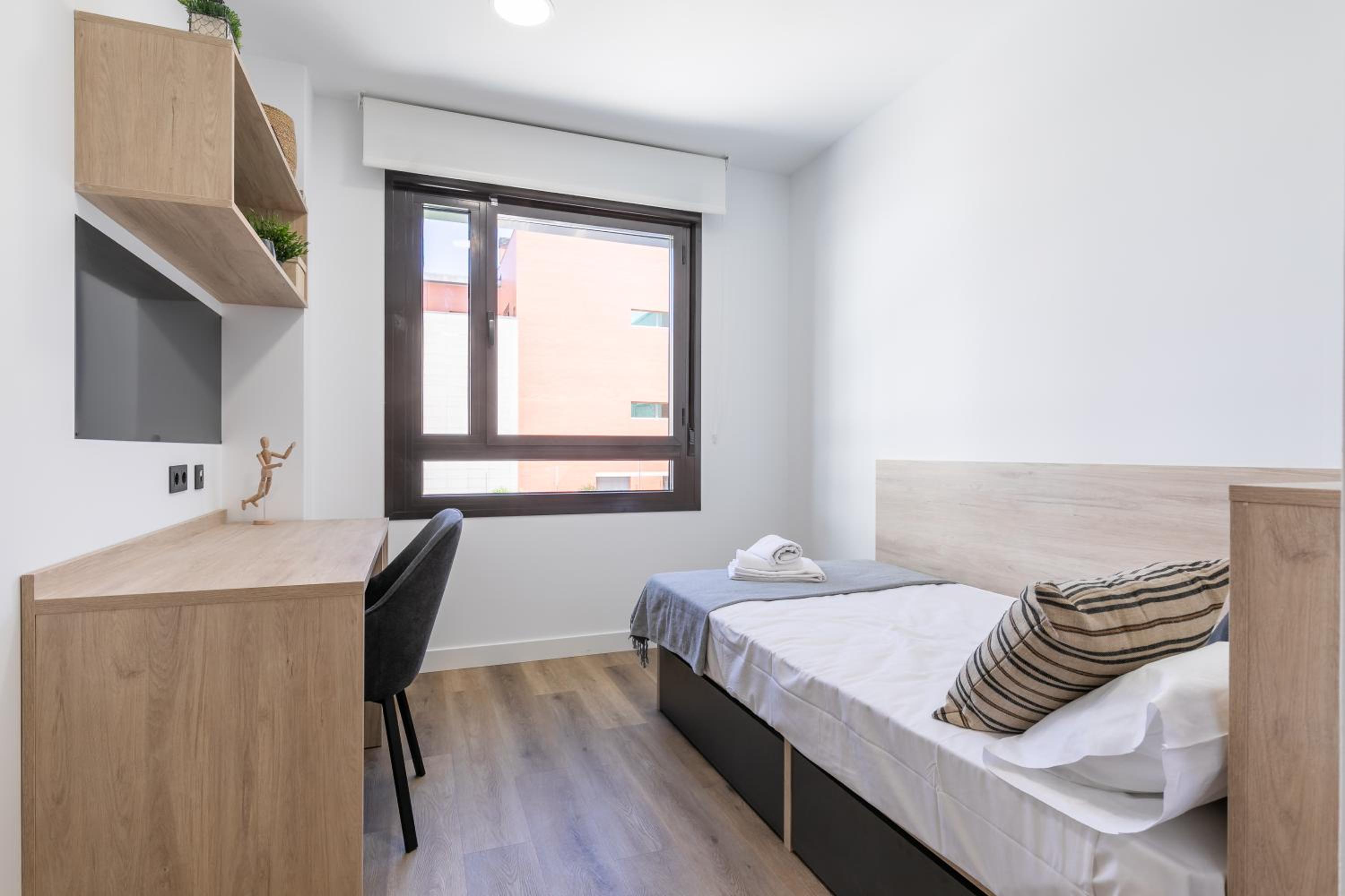 Single Room photo 2