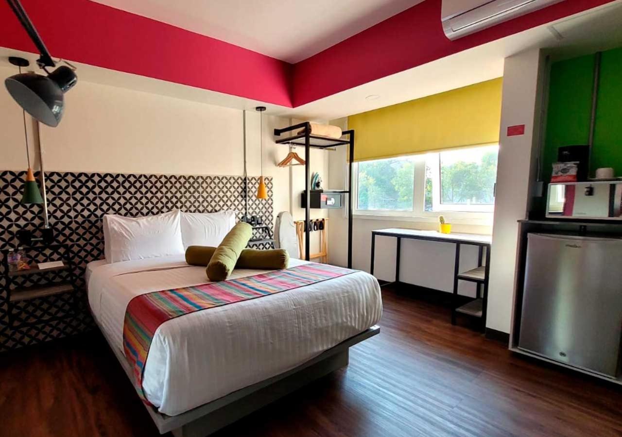 Suite - Photo 1