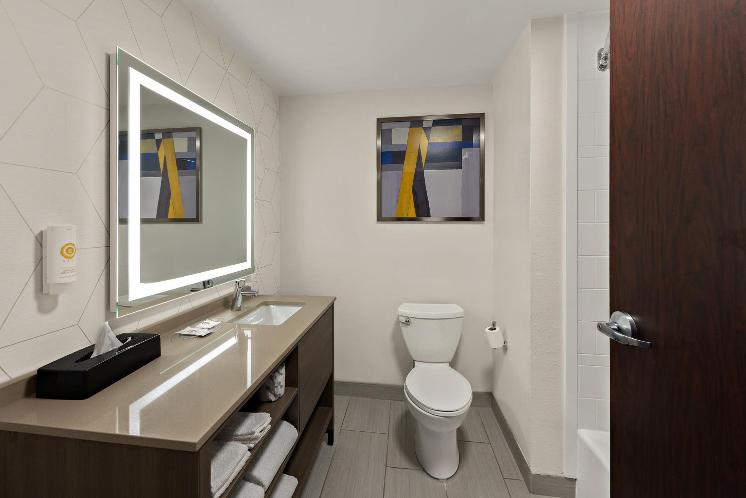 King Suite - Photo 2