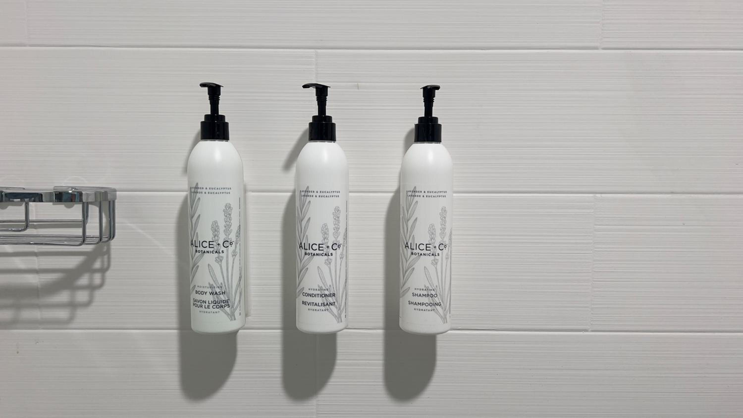 King Studio - Photo 8