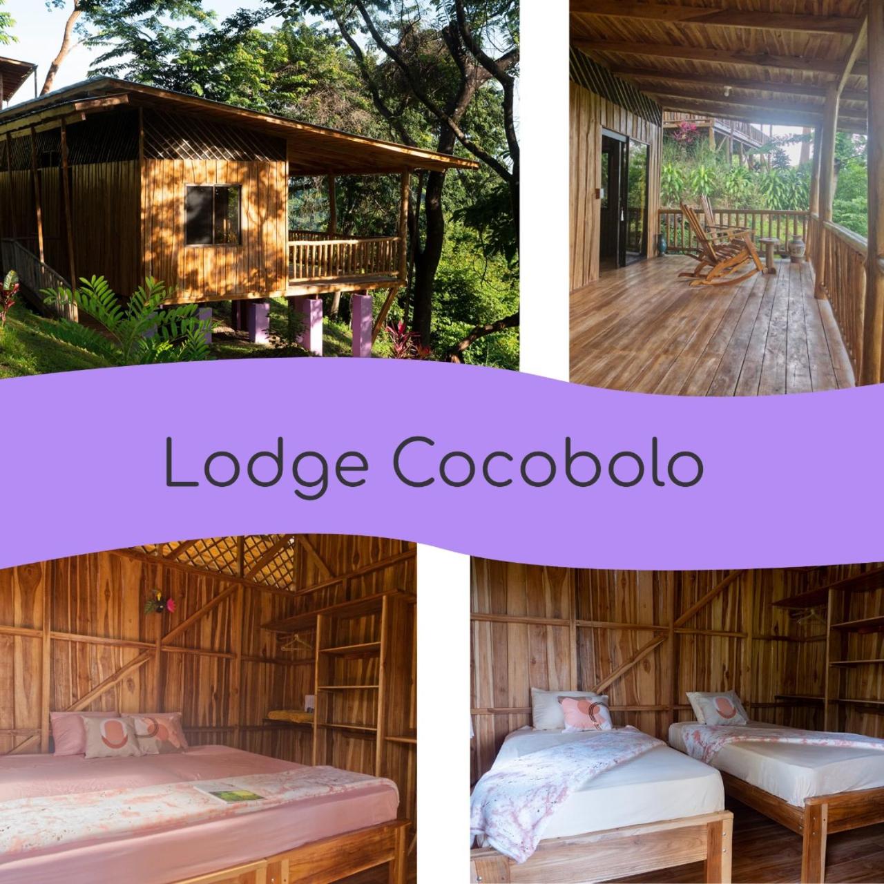 Two-Bedroom Chalet photo 1