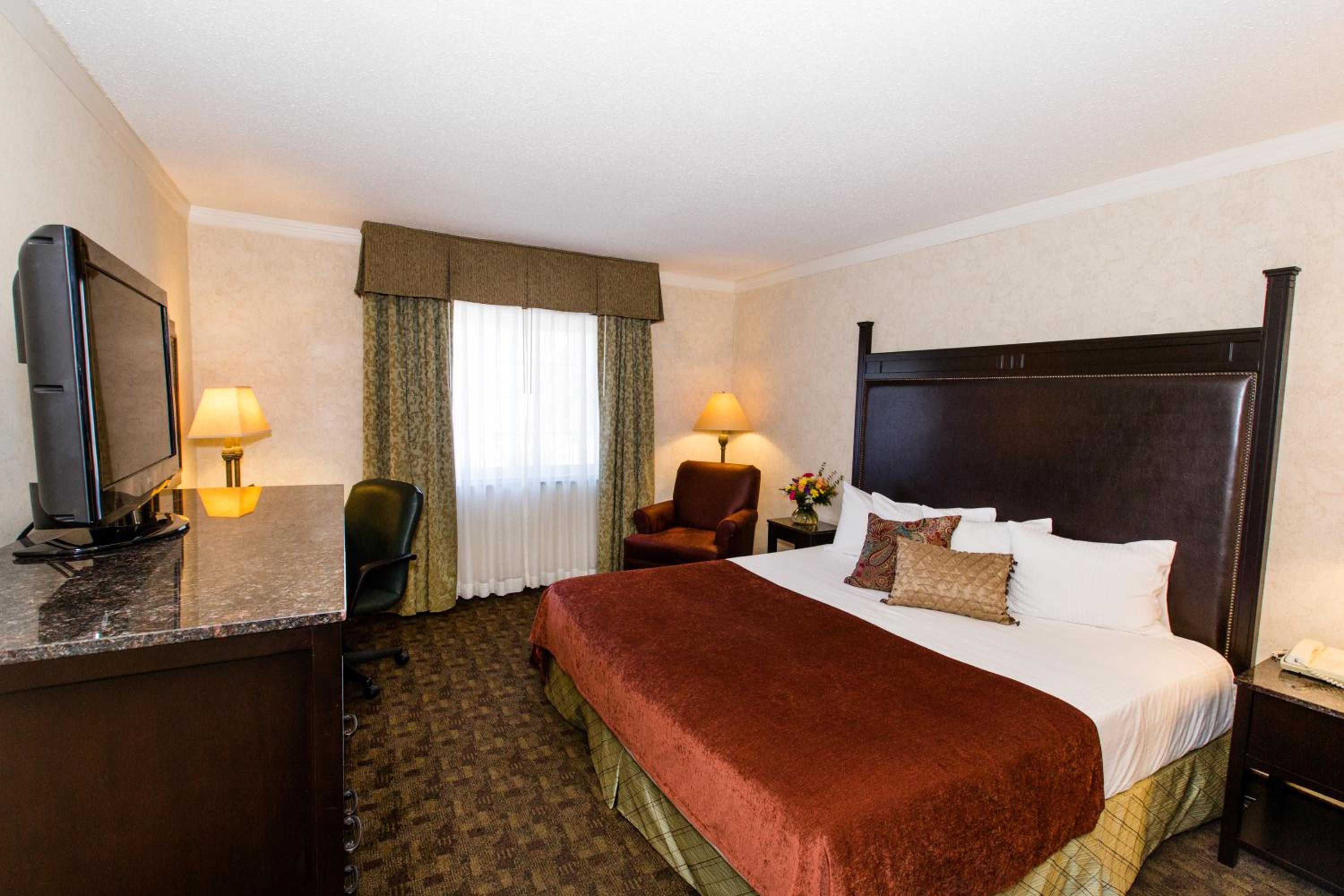 King Room - Photo 4