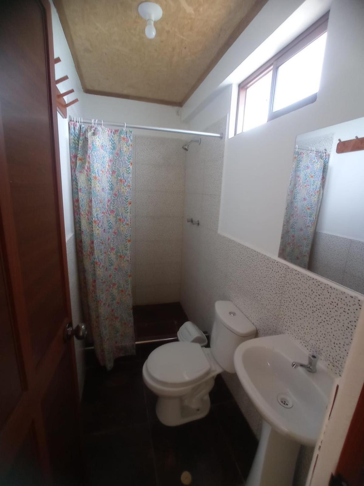 Twin Room with Garden View photo 3