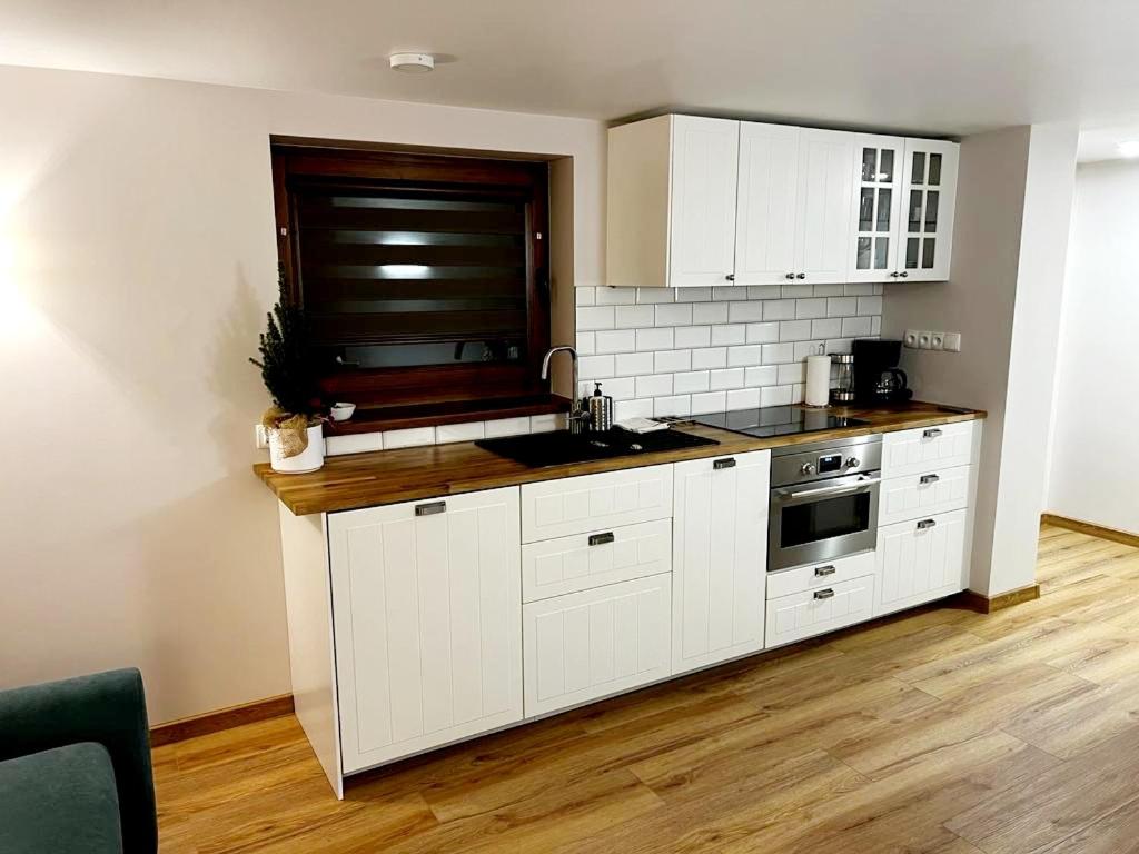 One-Bedroom Apartment - Photo 10