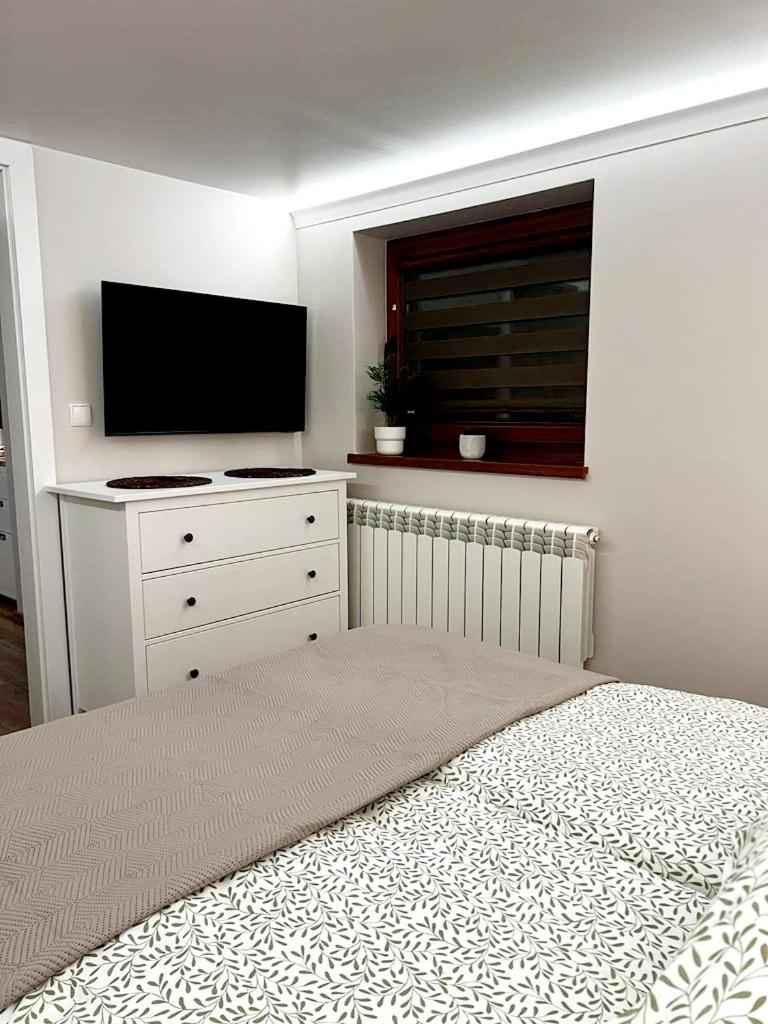 One-Bedroom Apartment - Photo 6