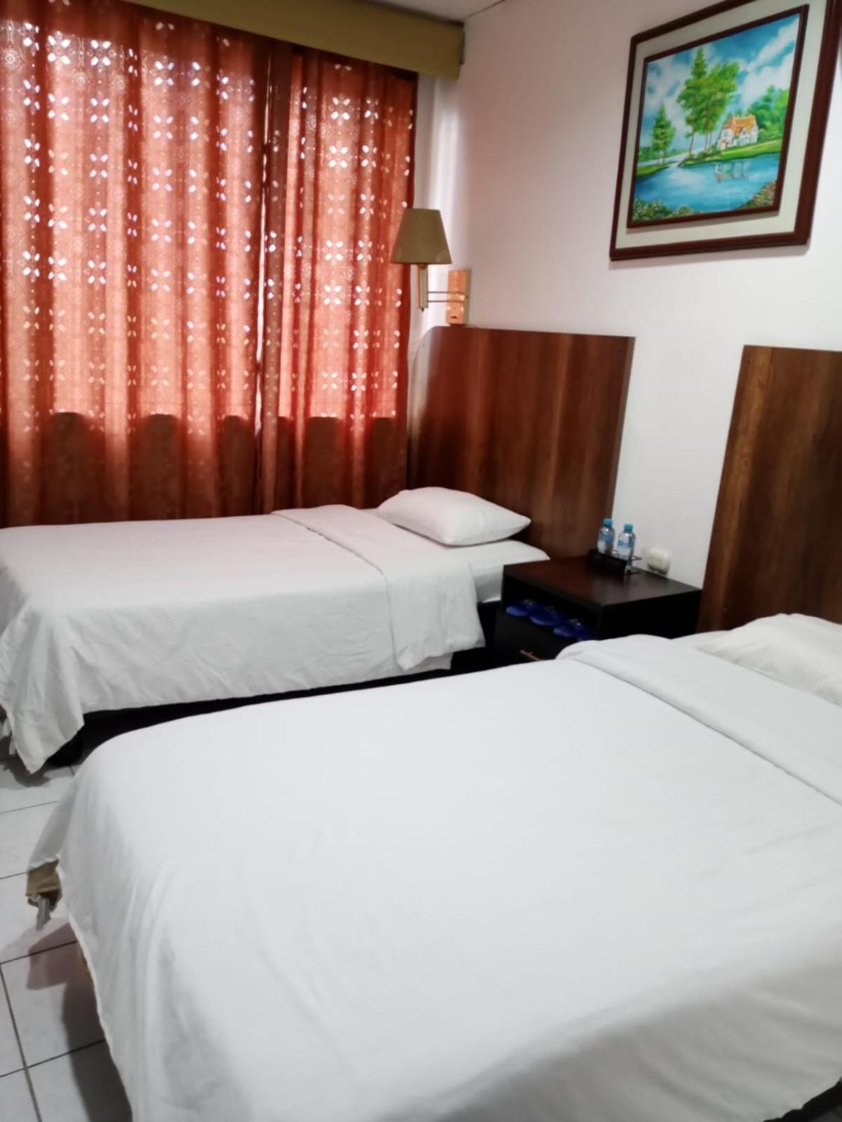 Twin Room photo 1