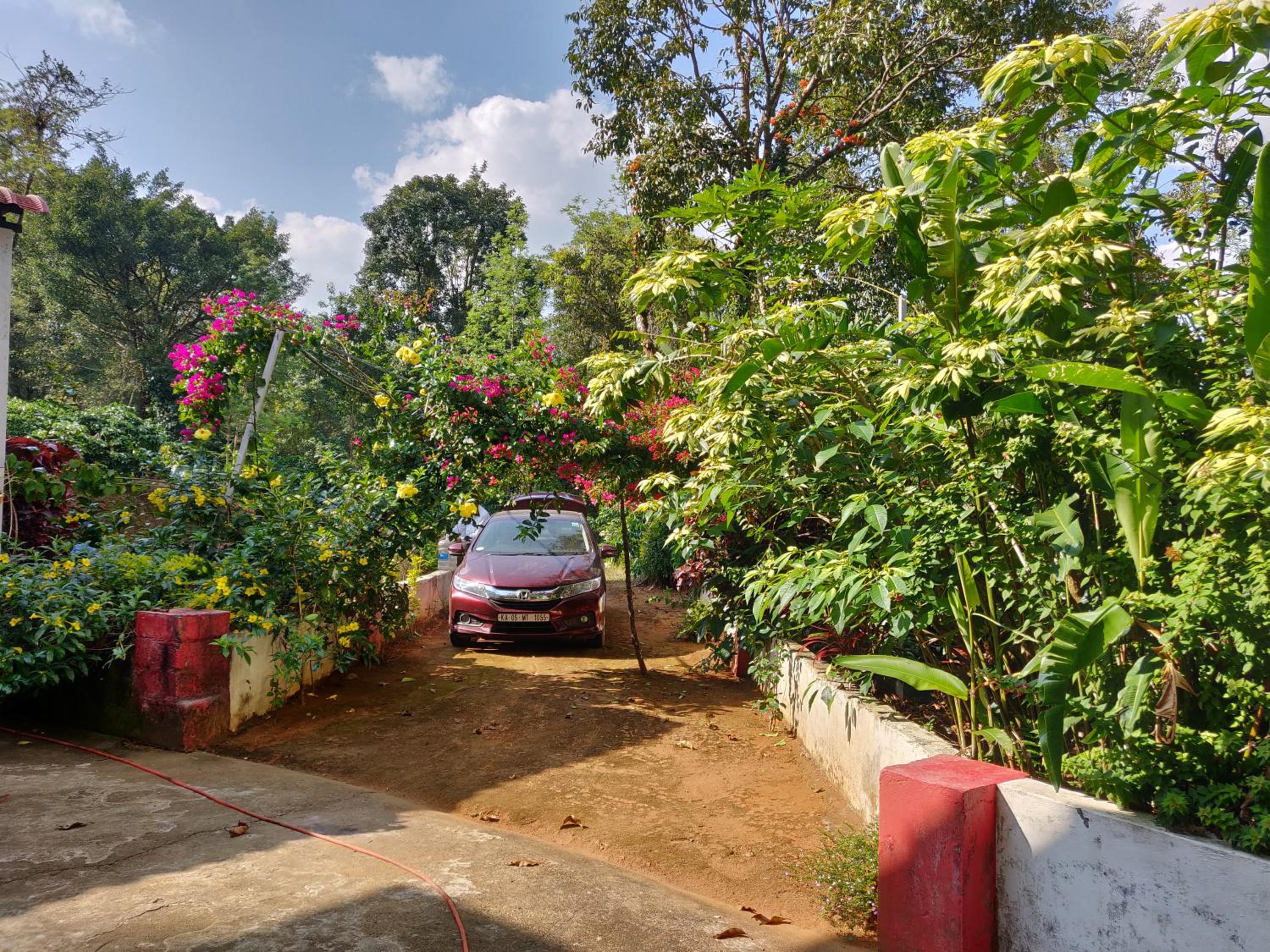 Family Bungalow photo 3