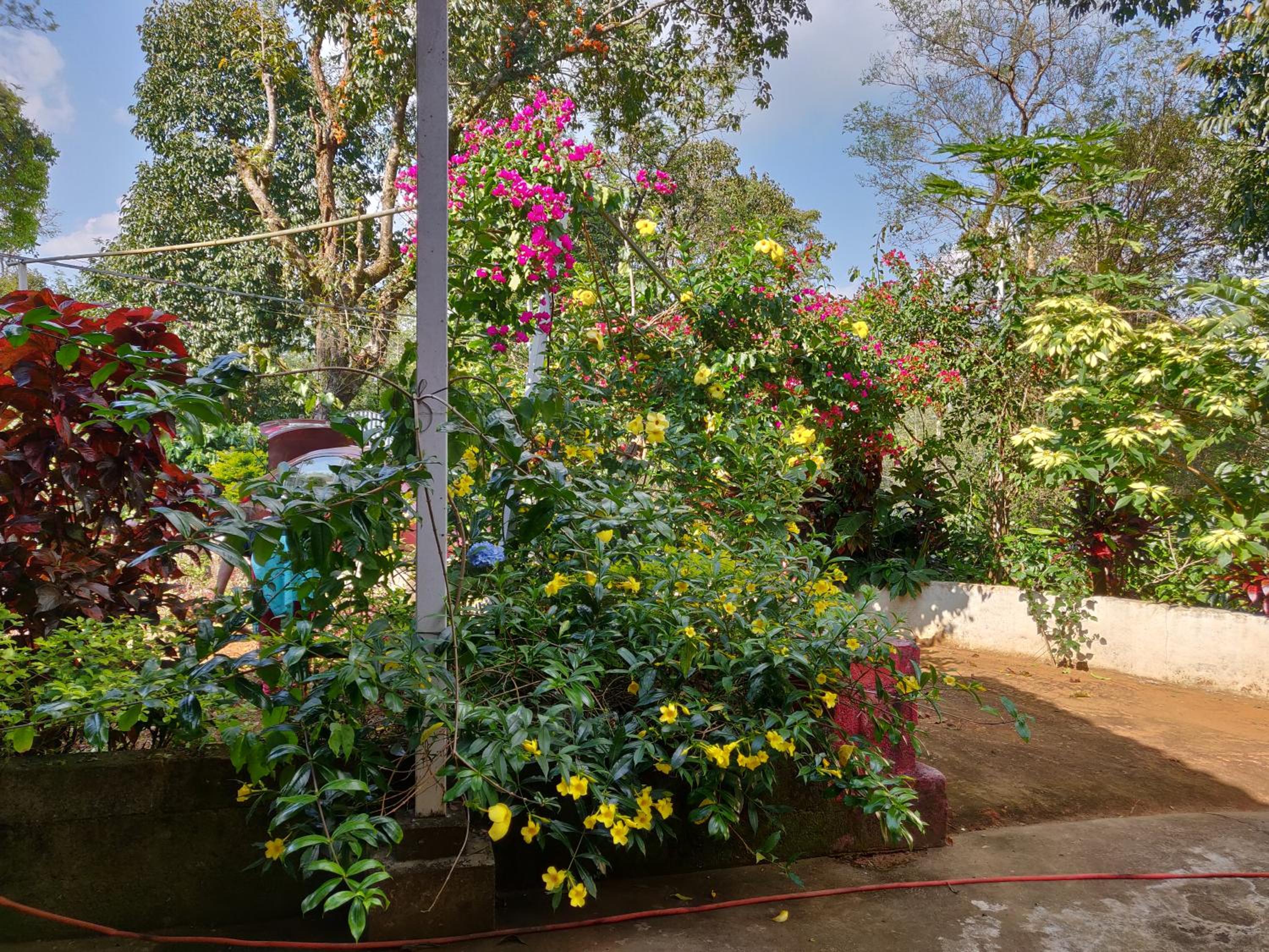Family Bungalow photo 2