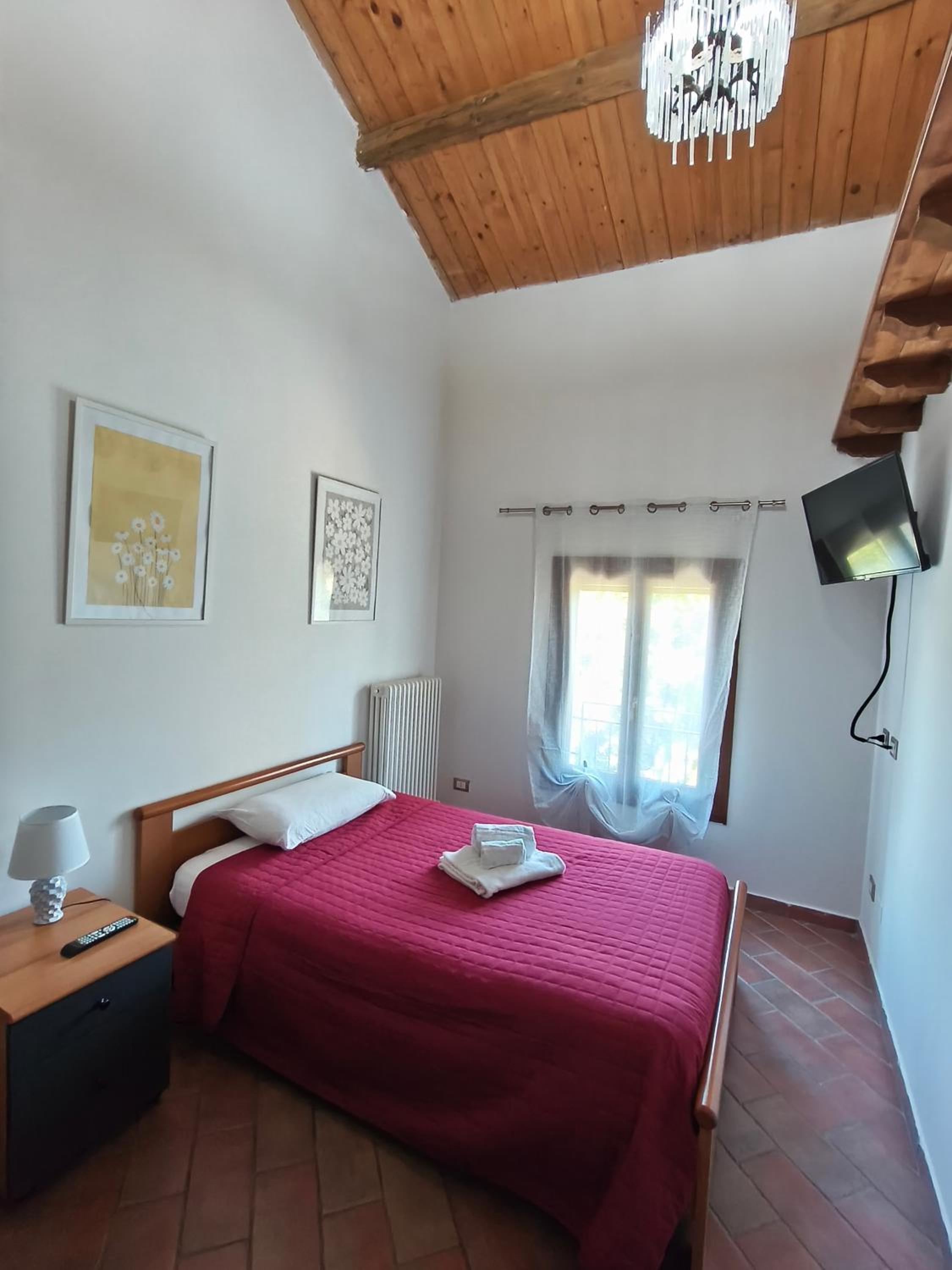 Single Room photo 1