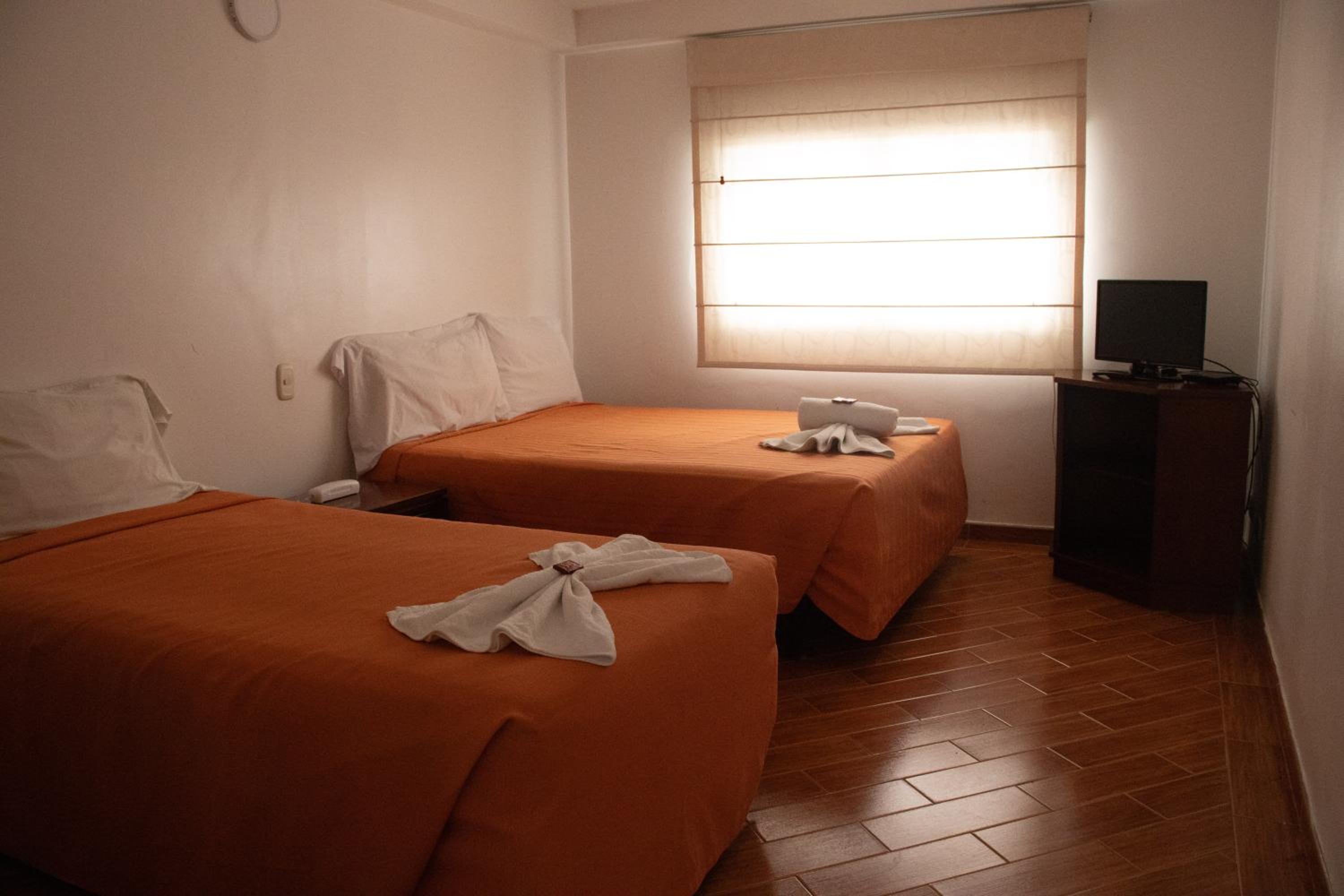 Twin Room photo 1
