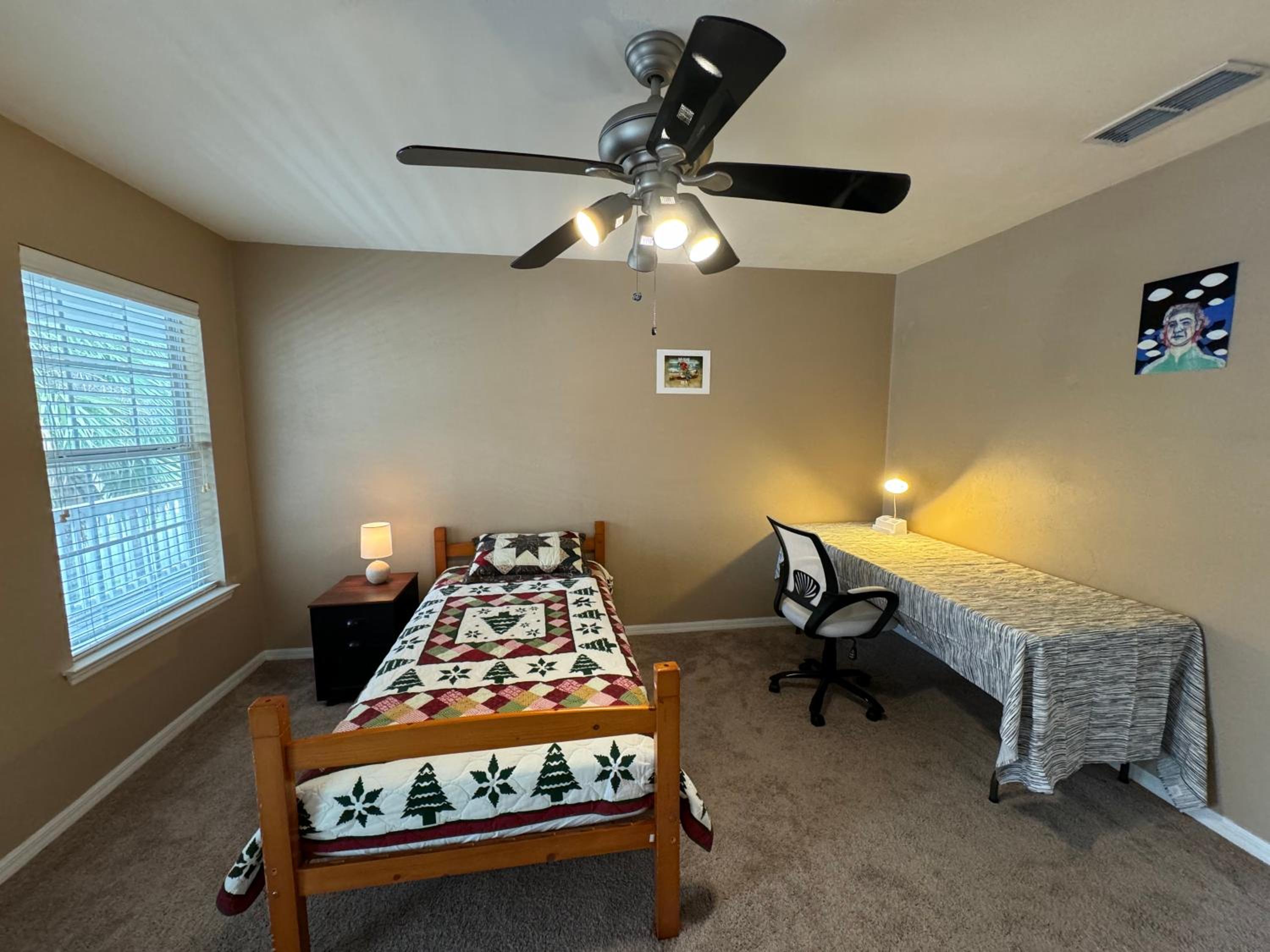 Single Room photo 2