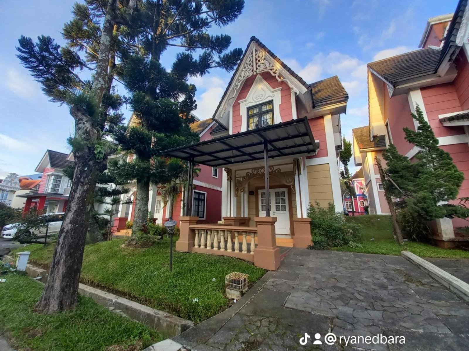 Deluxe Villa photo 2