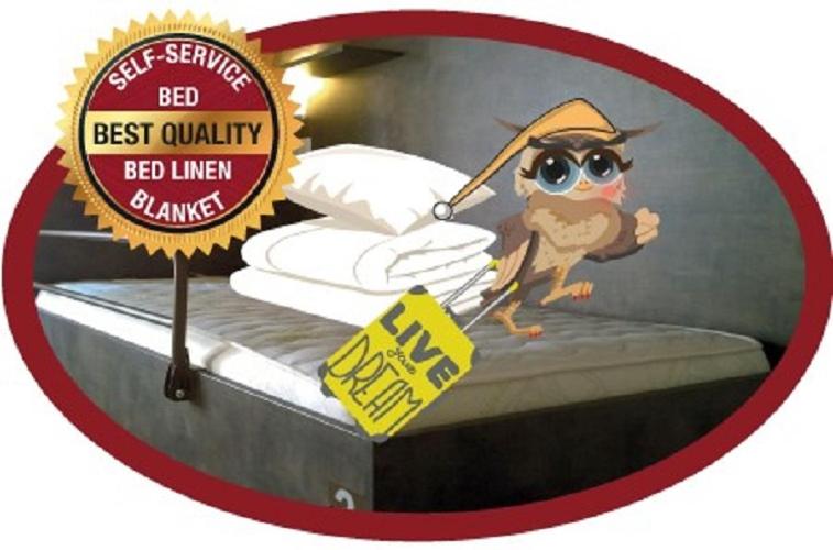 Single Bed in Mixed Dormitory Room photo 1