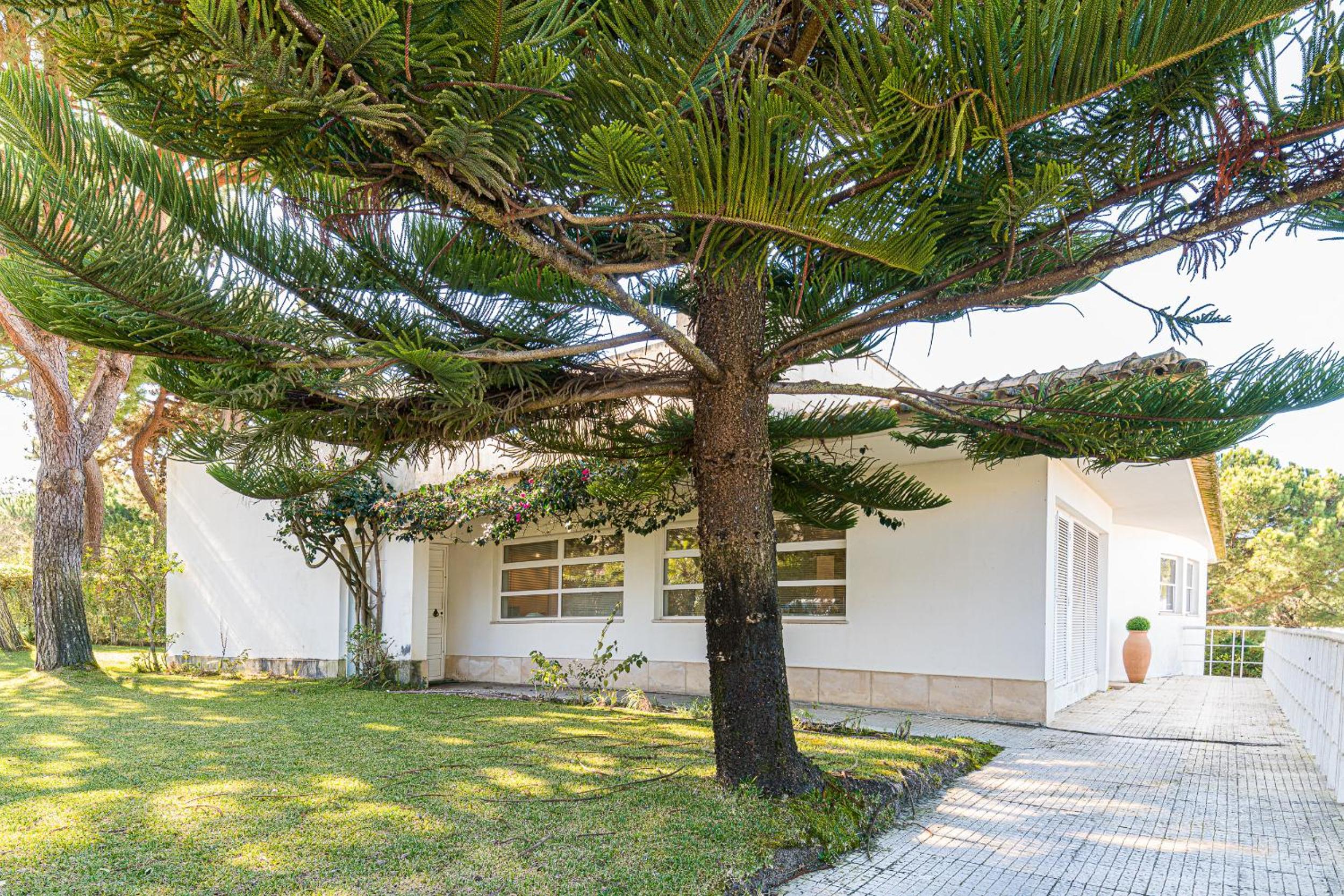 Villa with Private Pool photo 3