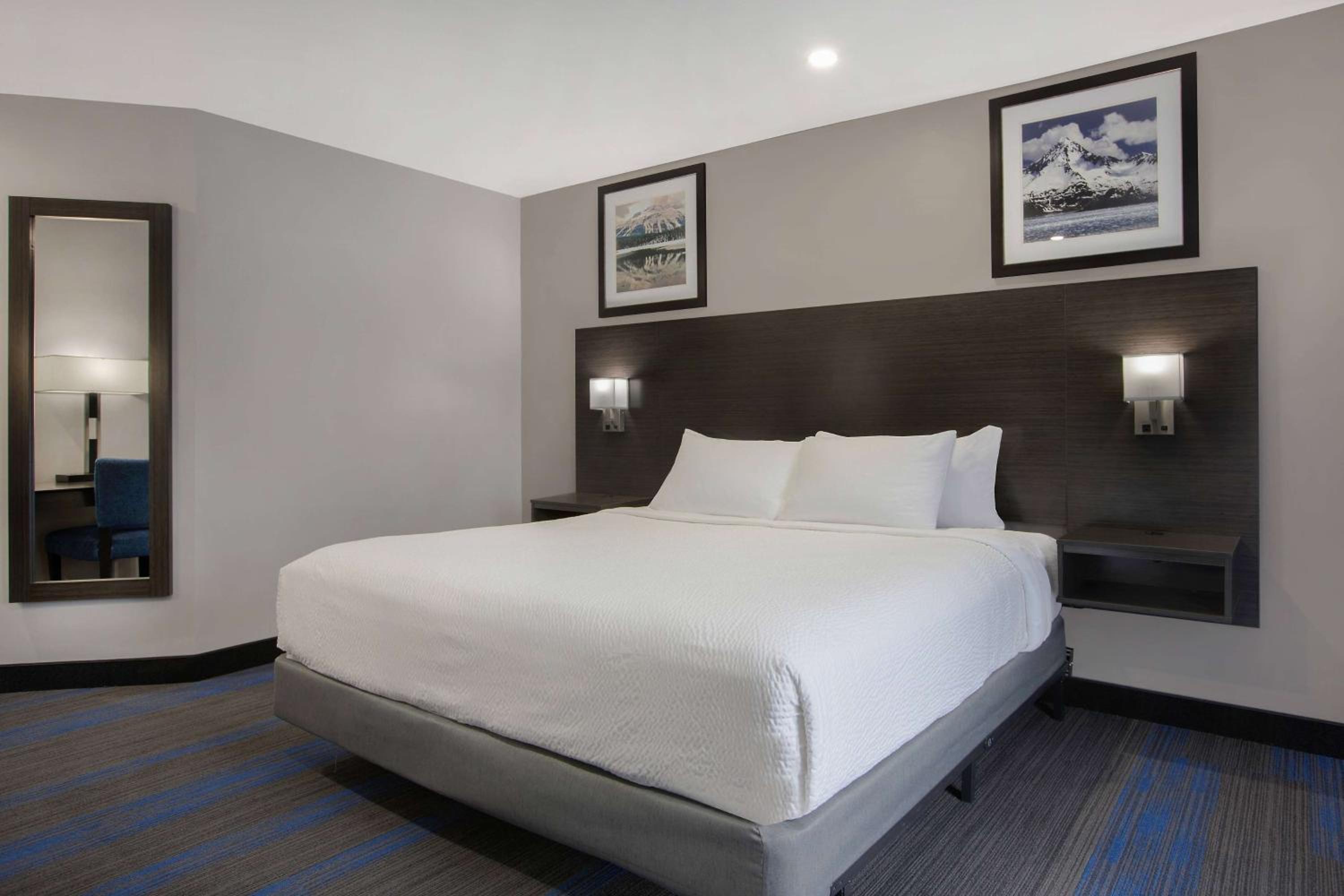 King Room with Mobility Access and Bathtub with Grab Bars, Non-Smoking - Photo 1