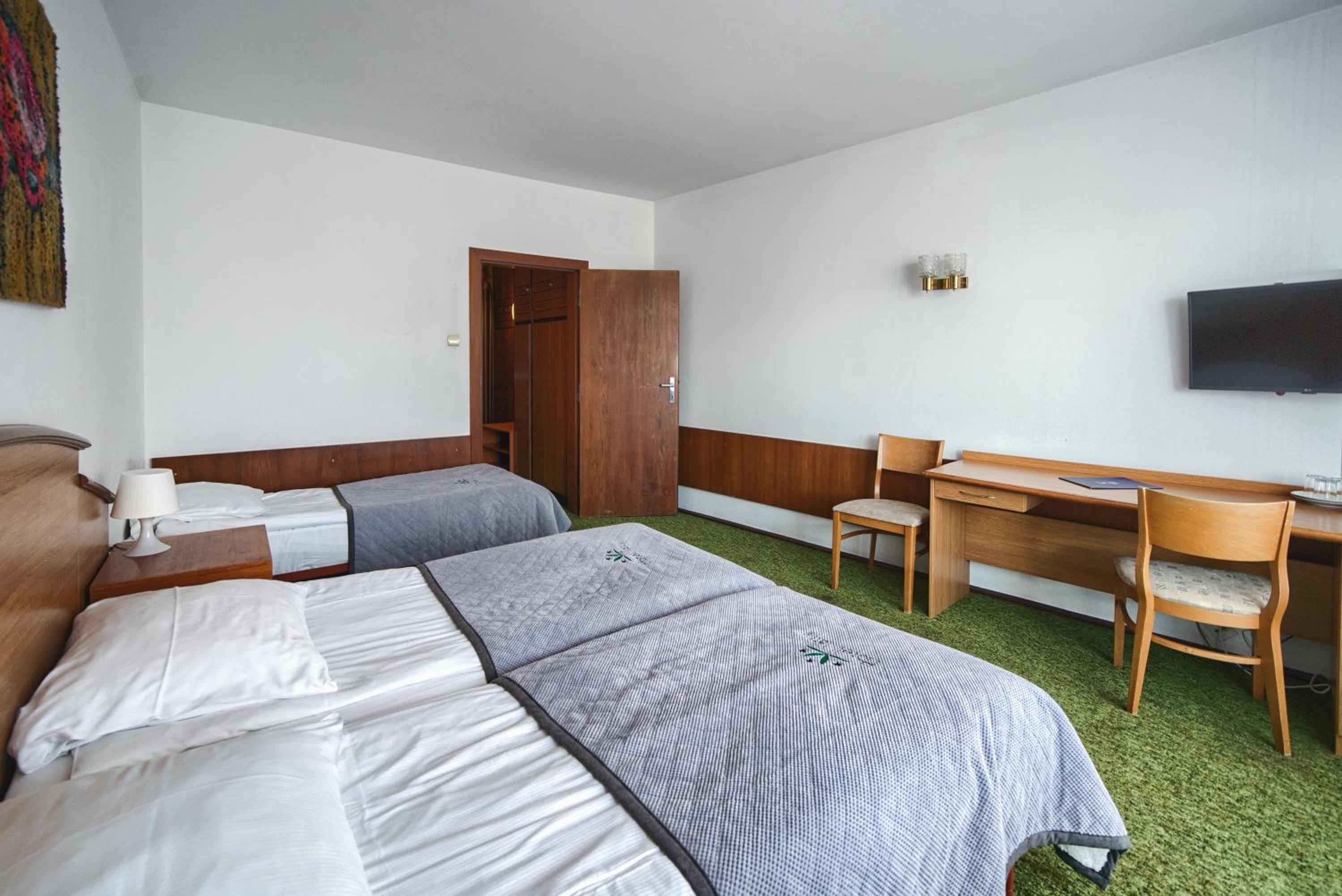 Triple Room with Mountain View - Hotel *** photo 3