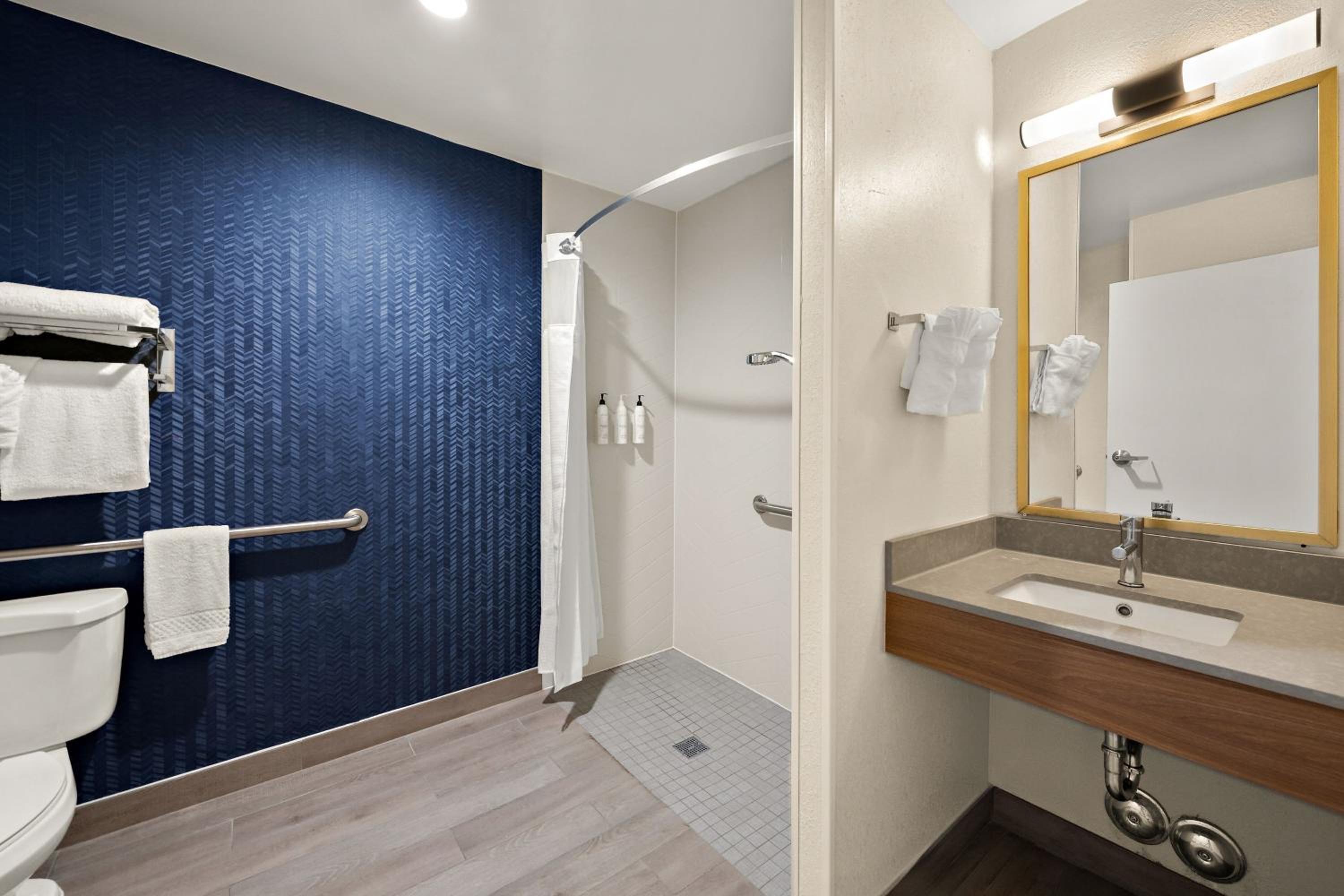King Room with Adapted Tub - Mobility Accessible - Photo 8