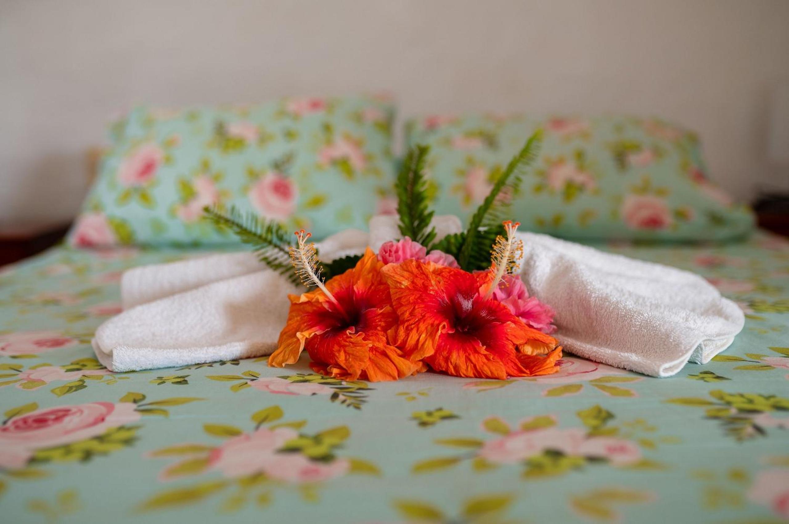 Double Room with Garden View photo 2