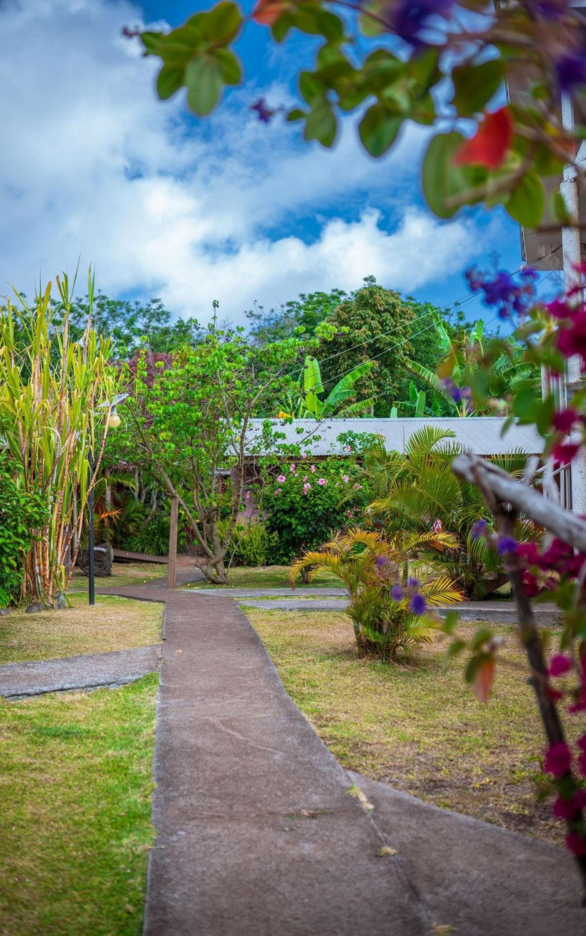 Standard Twin Room with Garden View photo 3