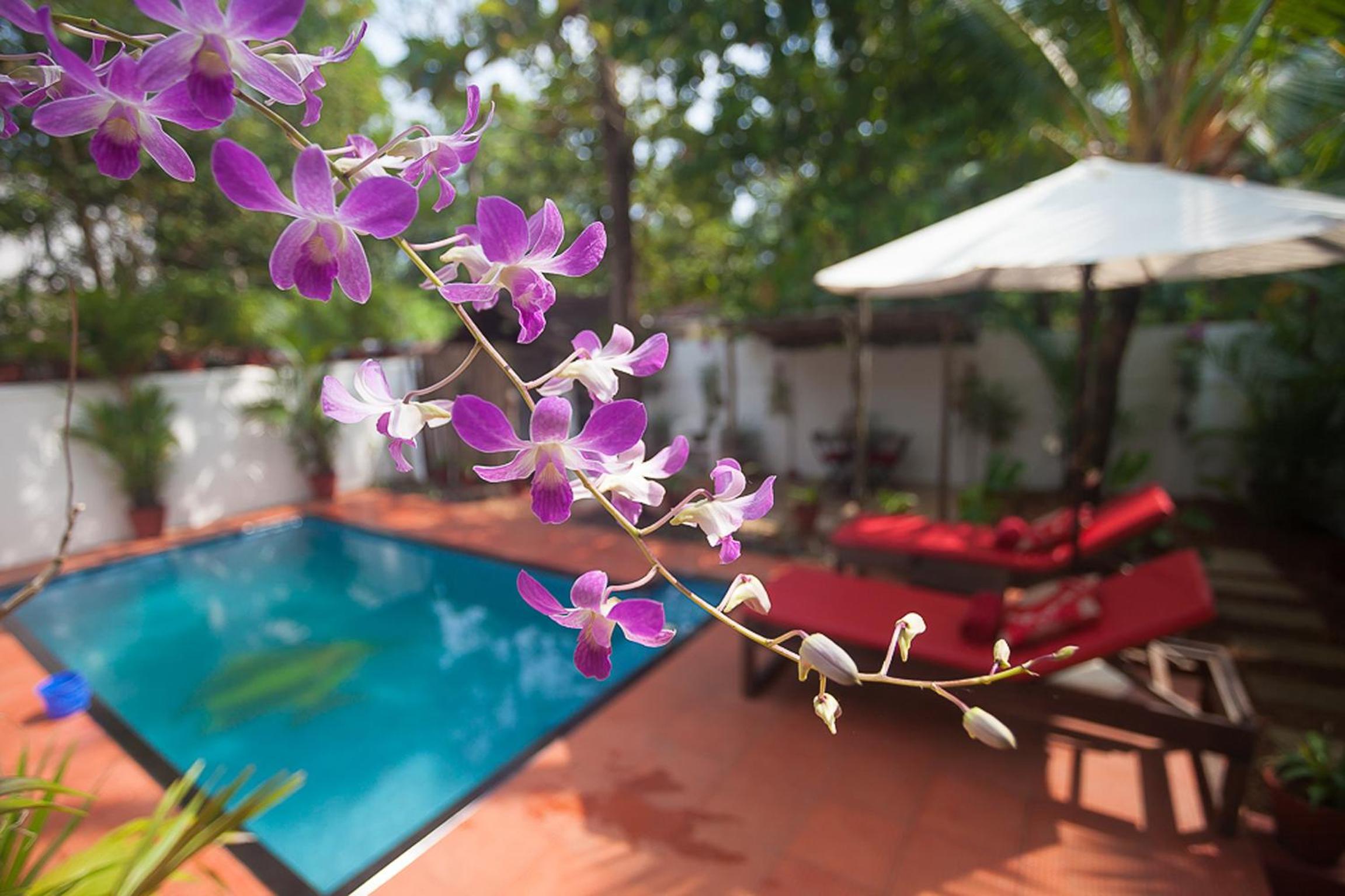 One-Bedroom Villa with Private Pool photo 2
