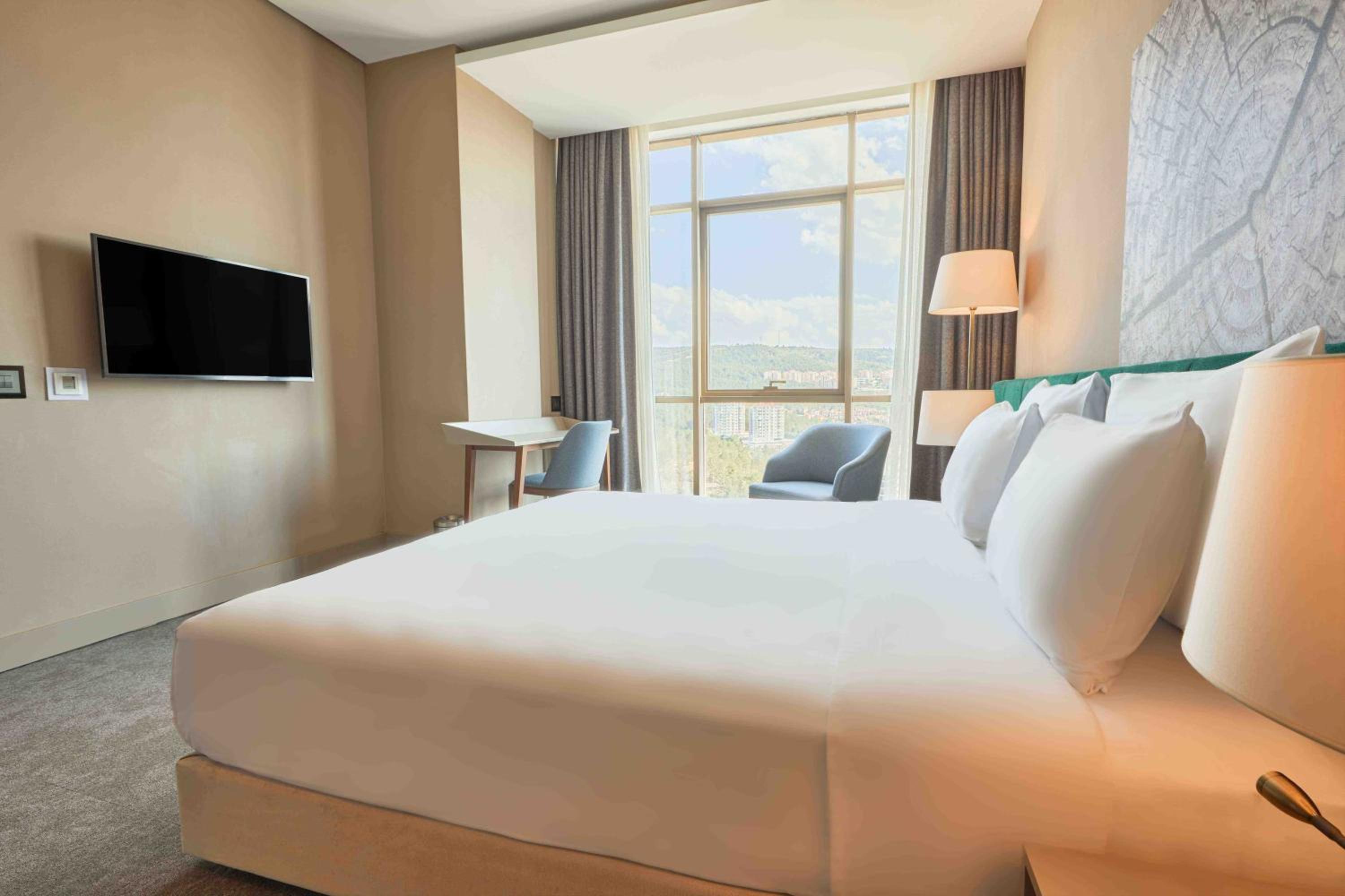 Deluxe Suite photo 1