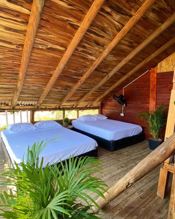 Single Bed In 6-Bed Dormitory Room photo 1