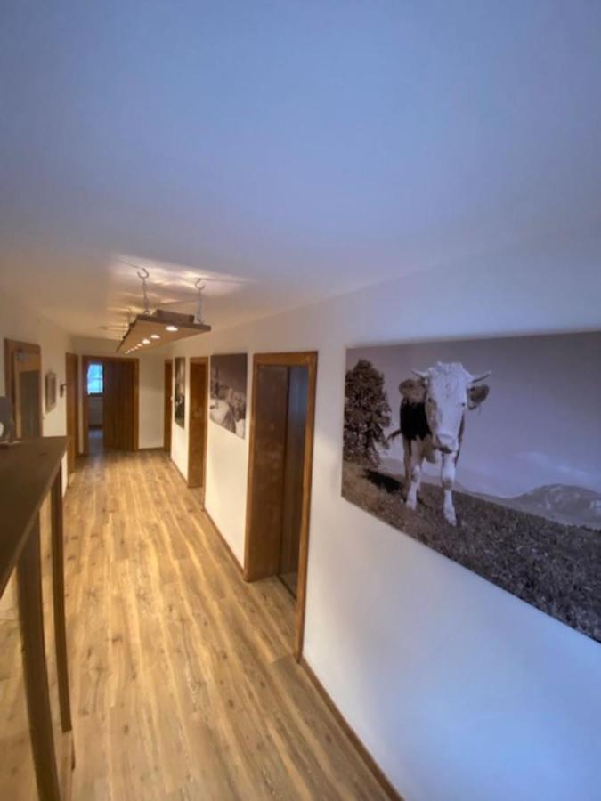 Apartment with Terrace photo 3
