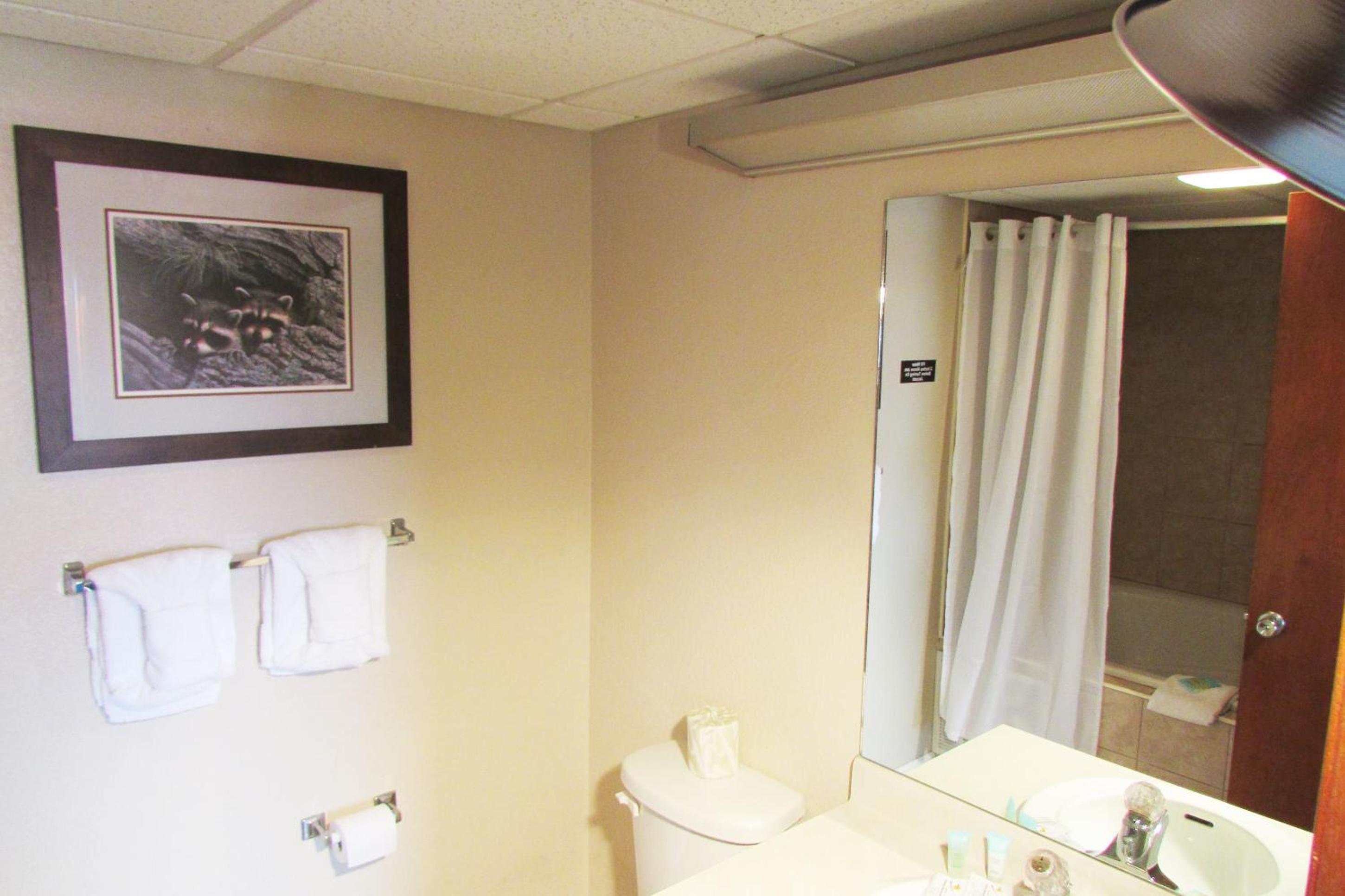 Junior Suite with King Bed, Sofa Bed, Fireplace, Two Vanities, Jet Tub and Share photo 2