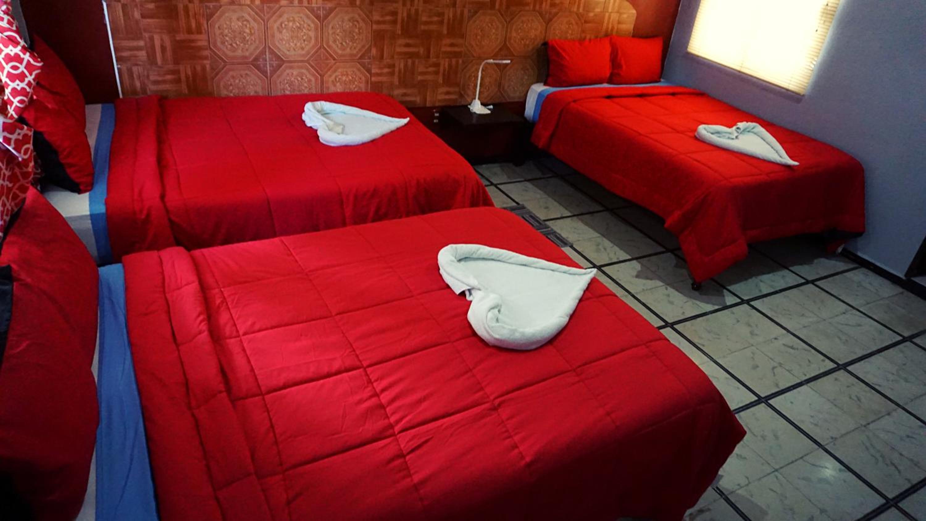 Standard Triple Room - Photo 9