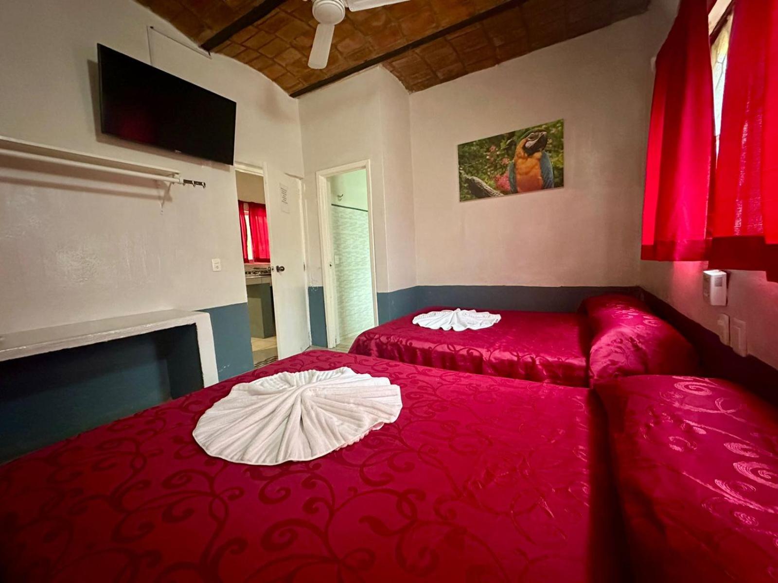 Standard Twin Room - Photo 1