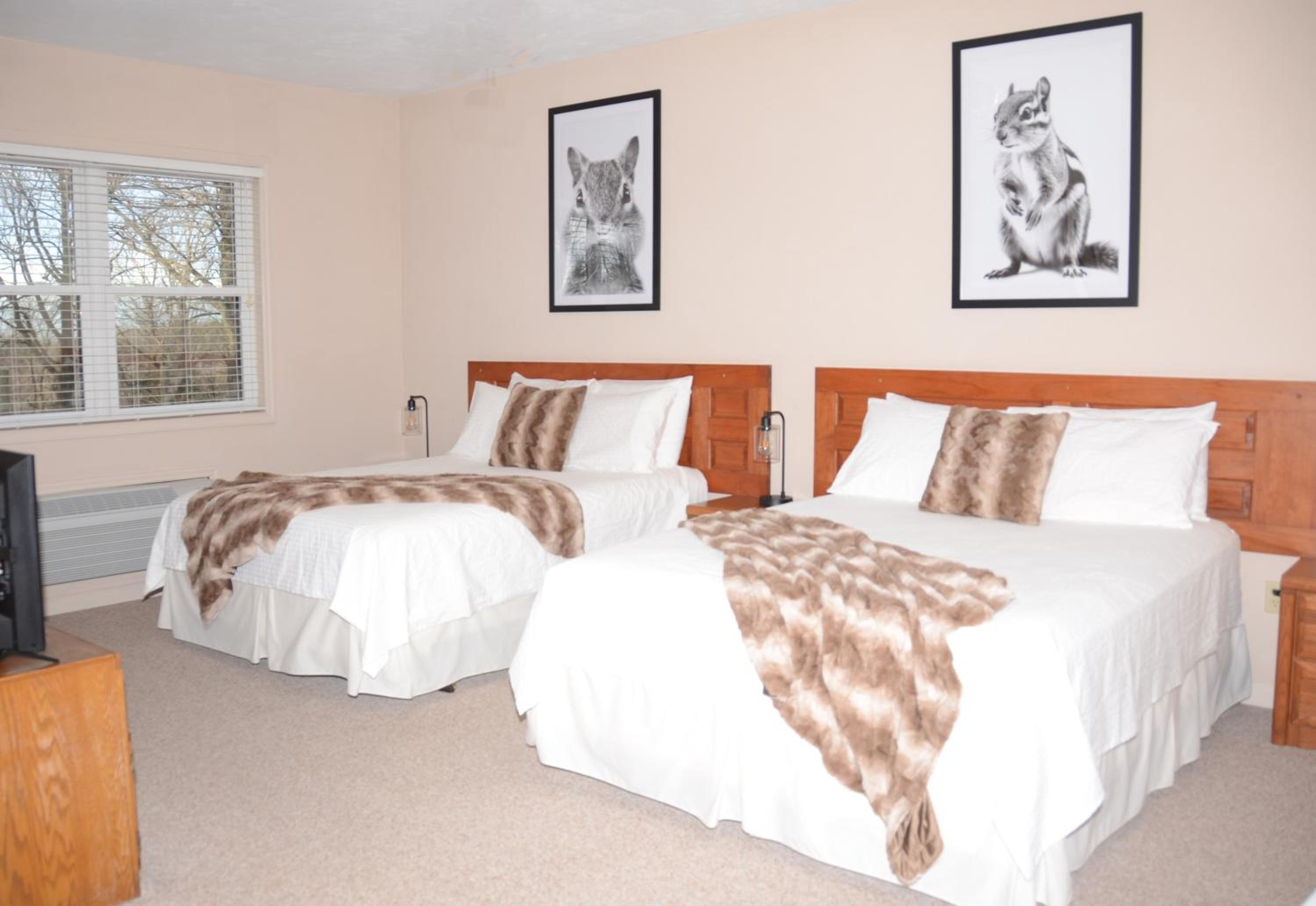 Queen Suite photo 1
